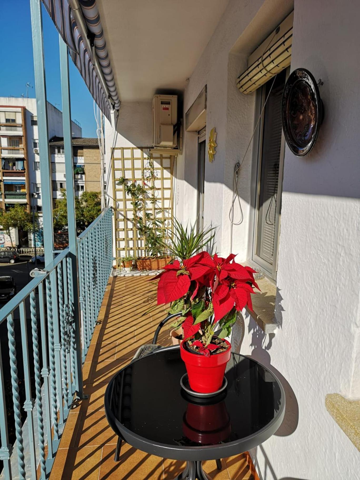 La Paloma
