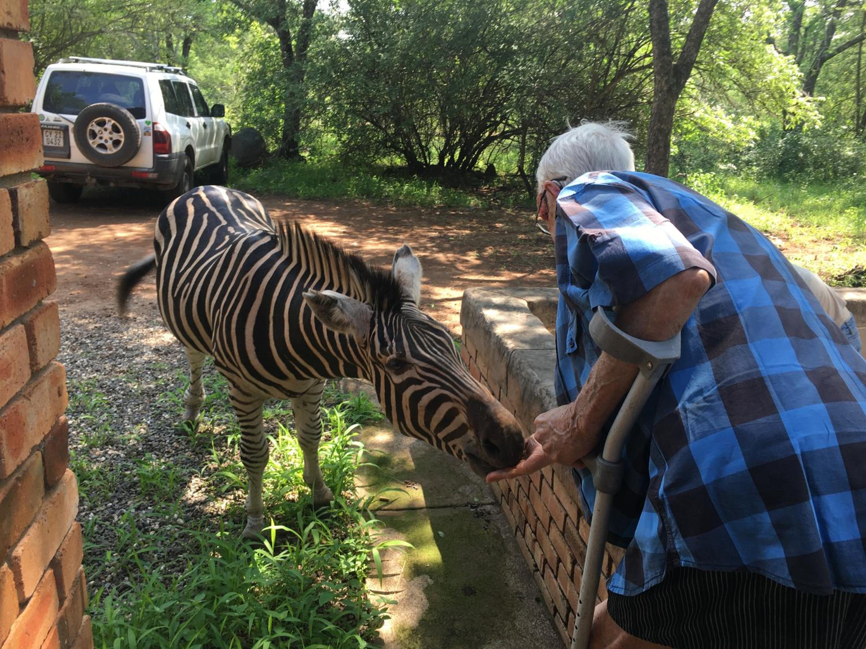 Soenie Kruger Safari