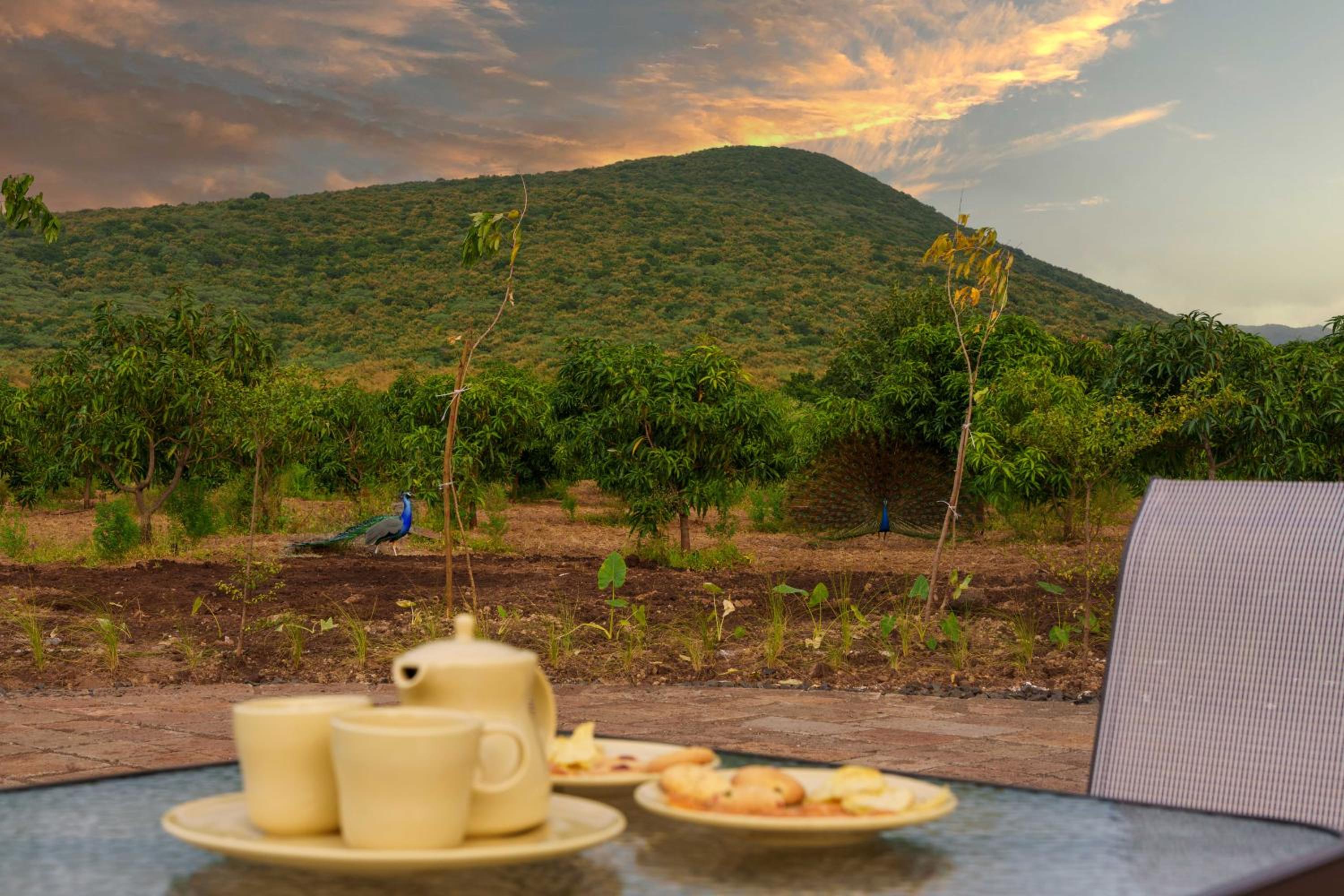 ama Stays & Trails The Deck, Girnar Forest, Junagarh view 4