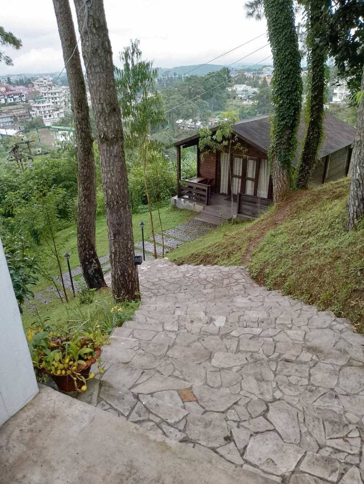 children's play area