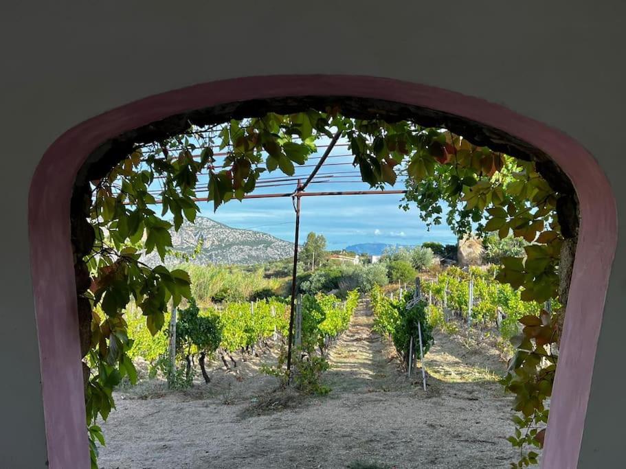 Casa Vacanze Gorropu Tiscali view 4