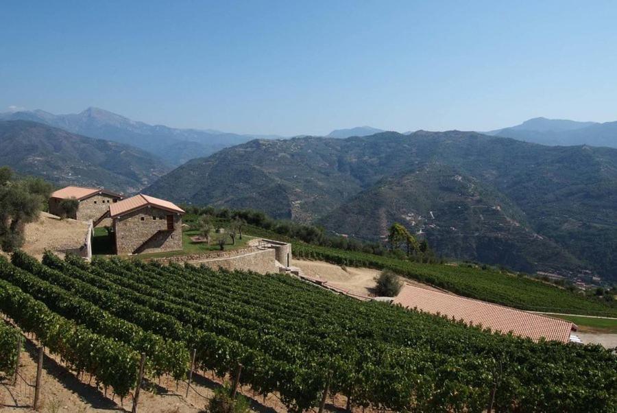 Agriturismo Altavia-Travigne