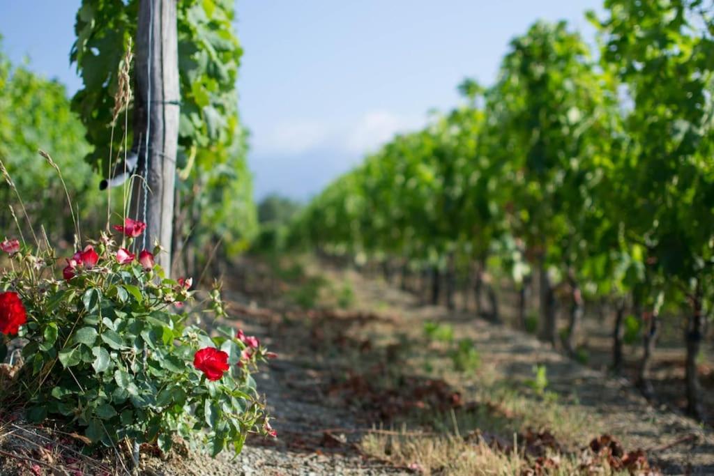 Agriturismo Altavia-Travigne