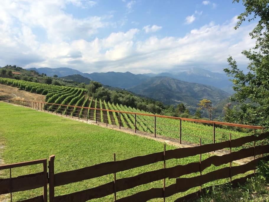 Agriturismo Altavia-Travigne