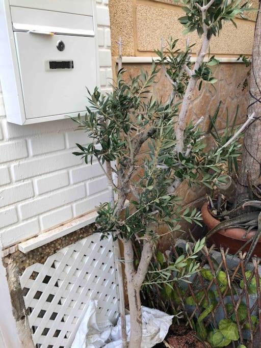 Un loft con expectaculares vistas en Aguilas