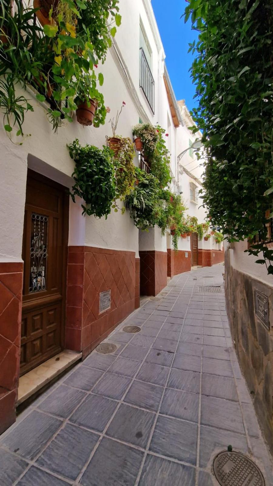 Apartamentos Sierra Nevada Park