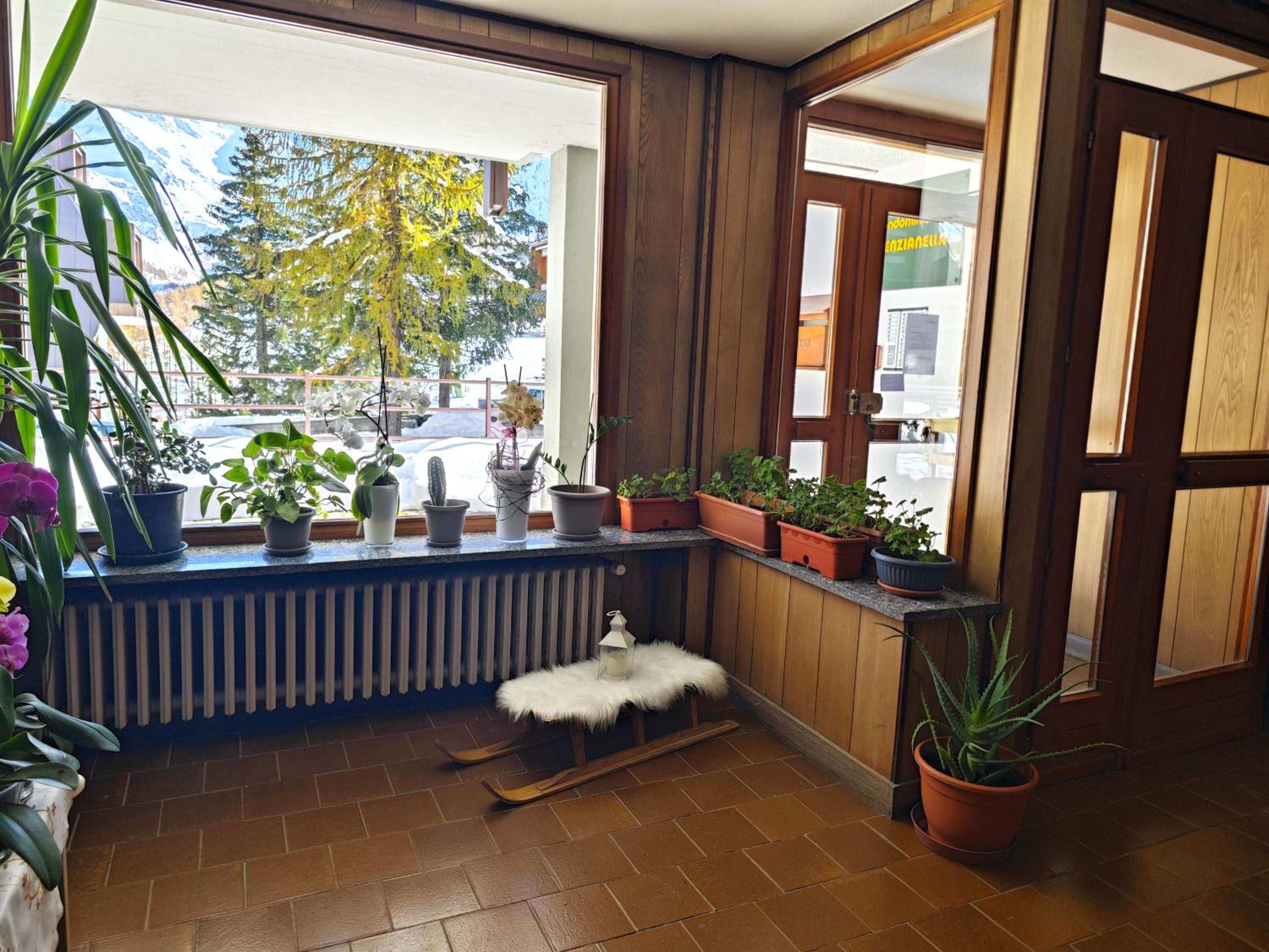 Hostdomus - Bianca Suite view 3