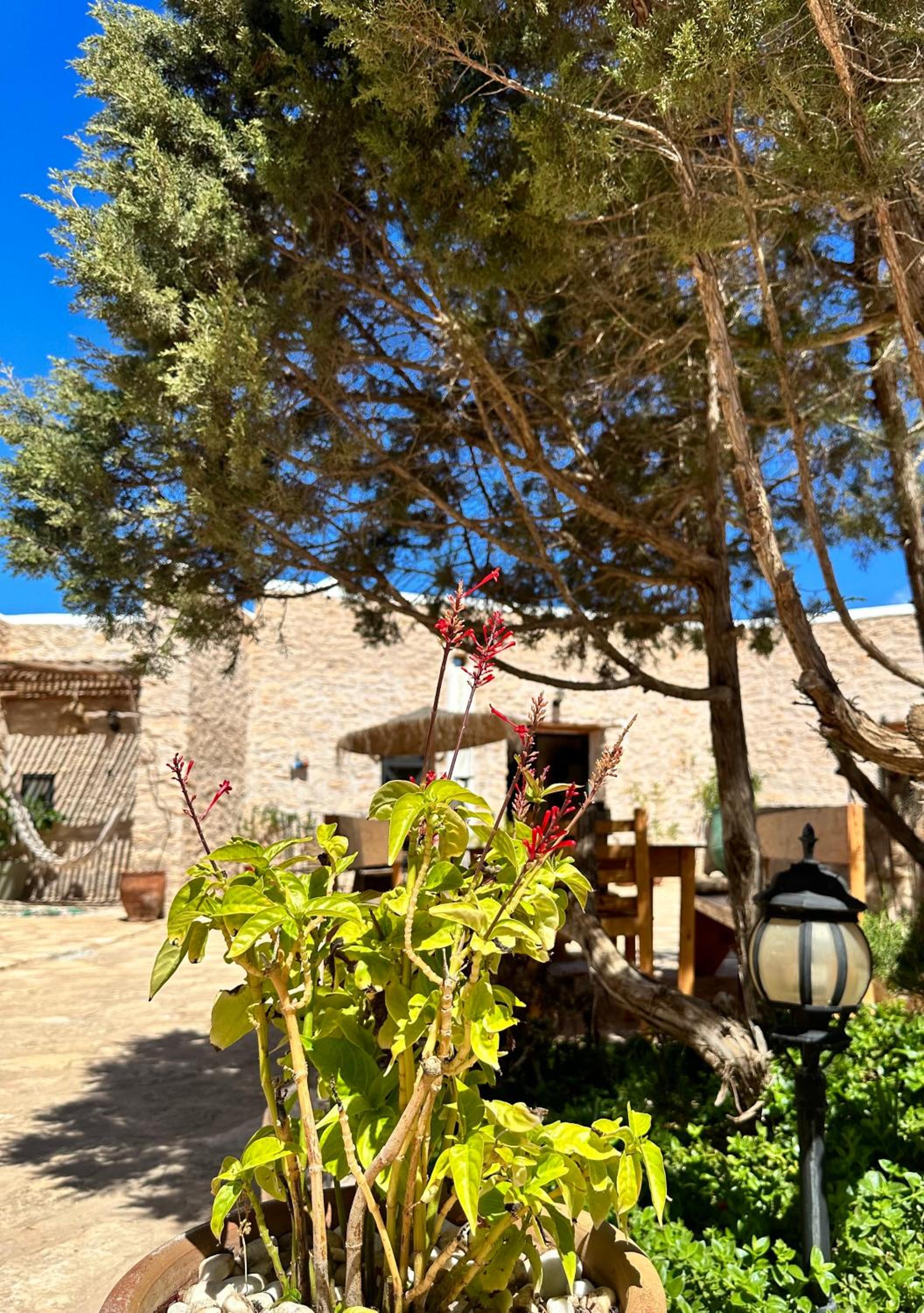 Atlantis 12, maison d'hôtes et d'art view 4
