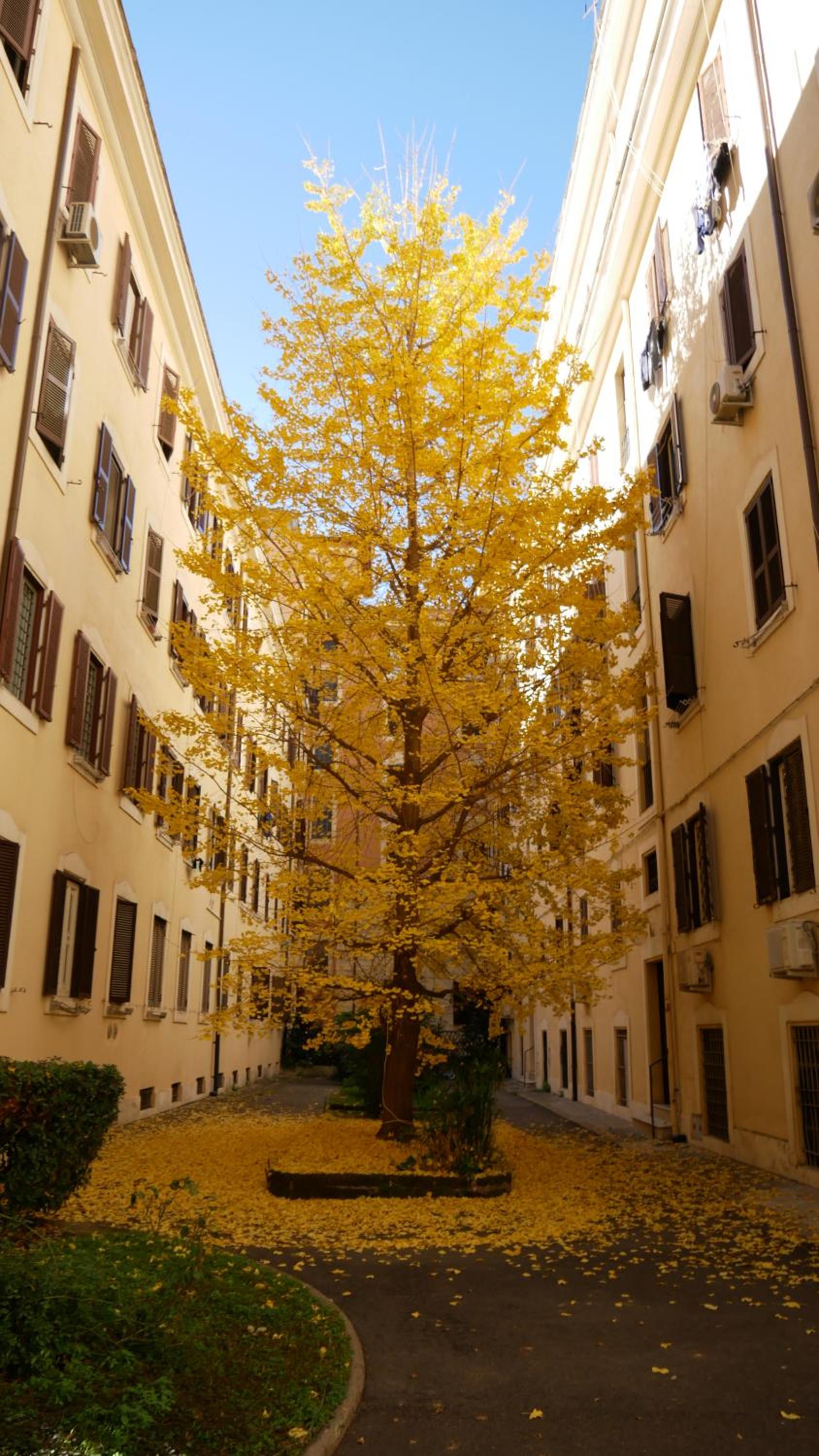 Vera Roma Suite&Apartment - Charming 3 bedroom apt - 20min walk from Colosseum