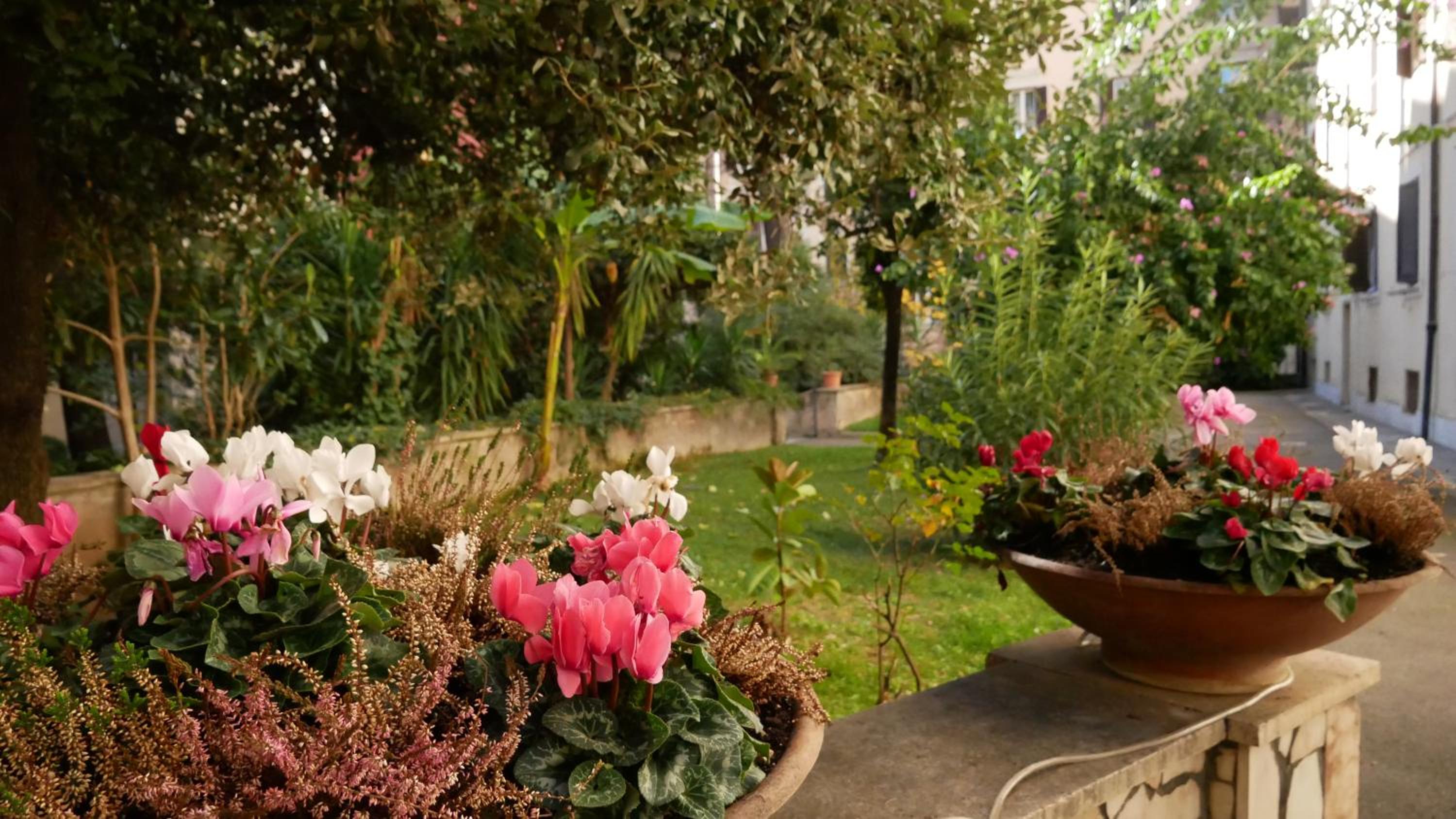 Vera Roma Suite&Apartment - Charming 3 bedroom apt - 20min walk from Colosseum