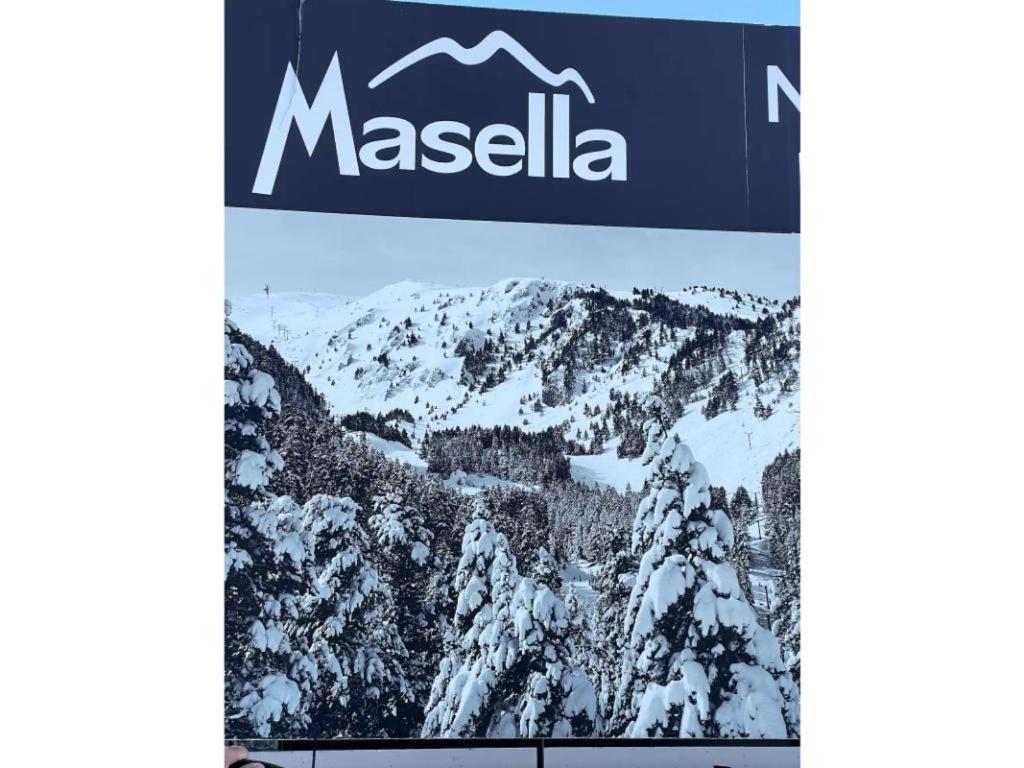 Masella