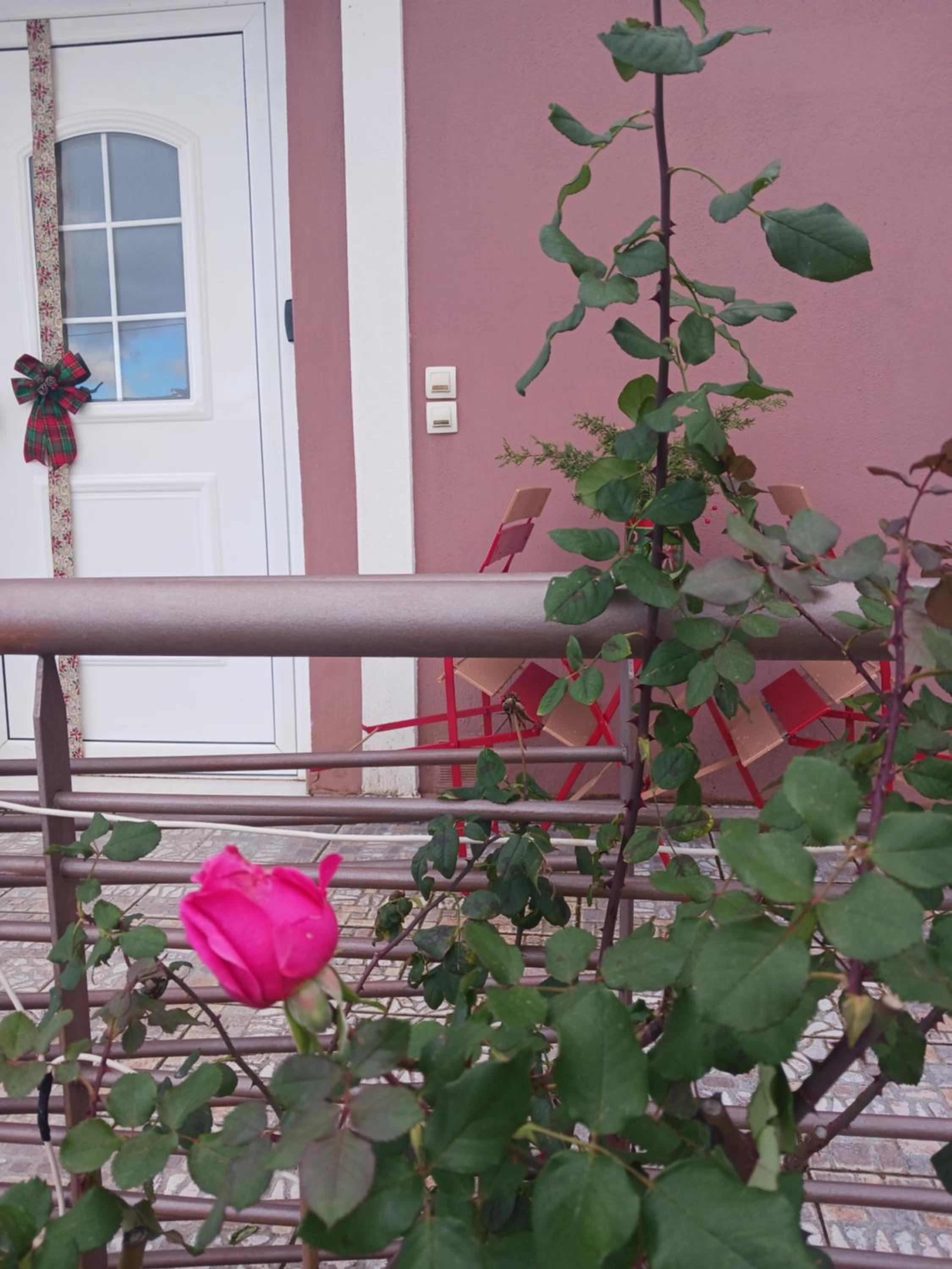Village perfume