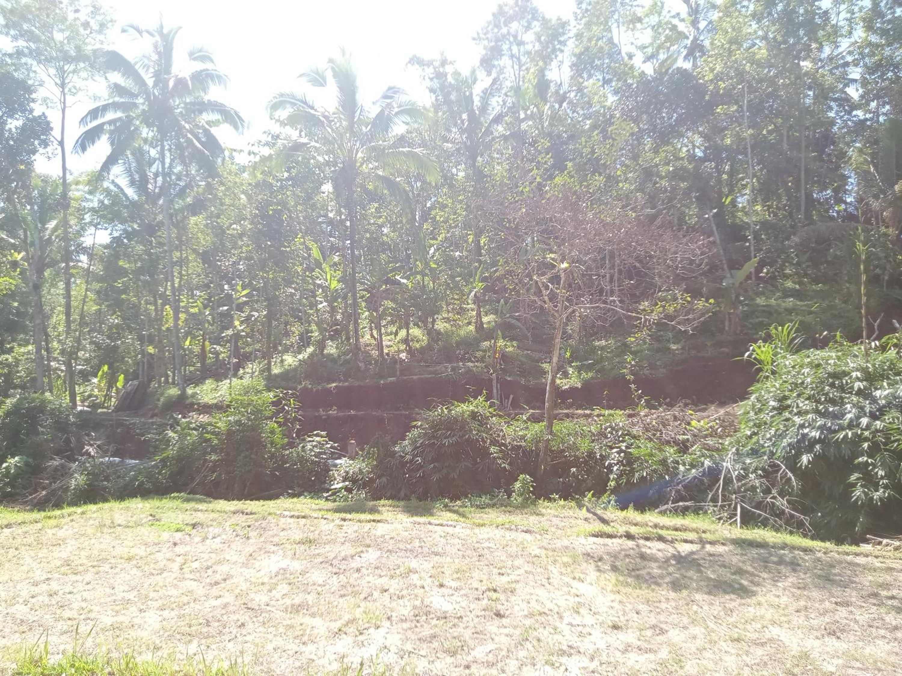 duegoal farmhouse