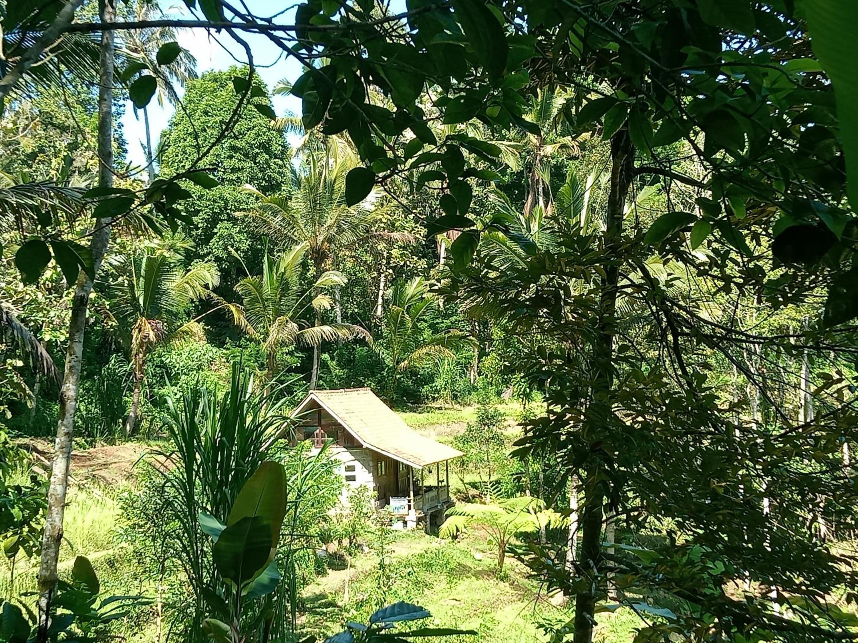 duegoal farmhouse