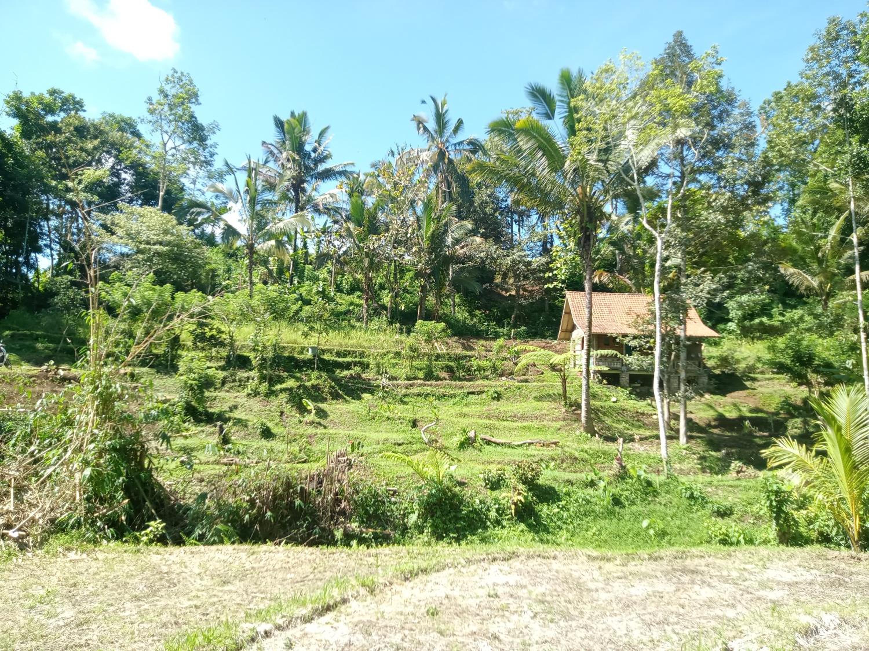 duegoal farmhouse