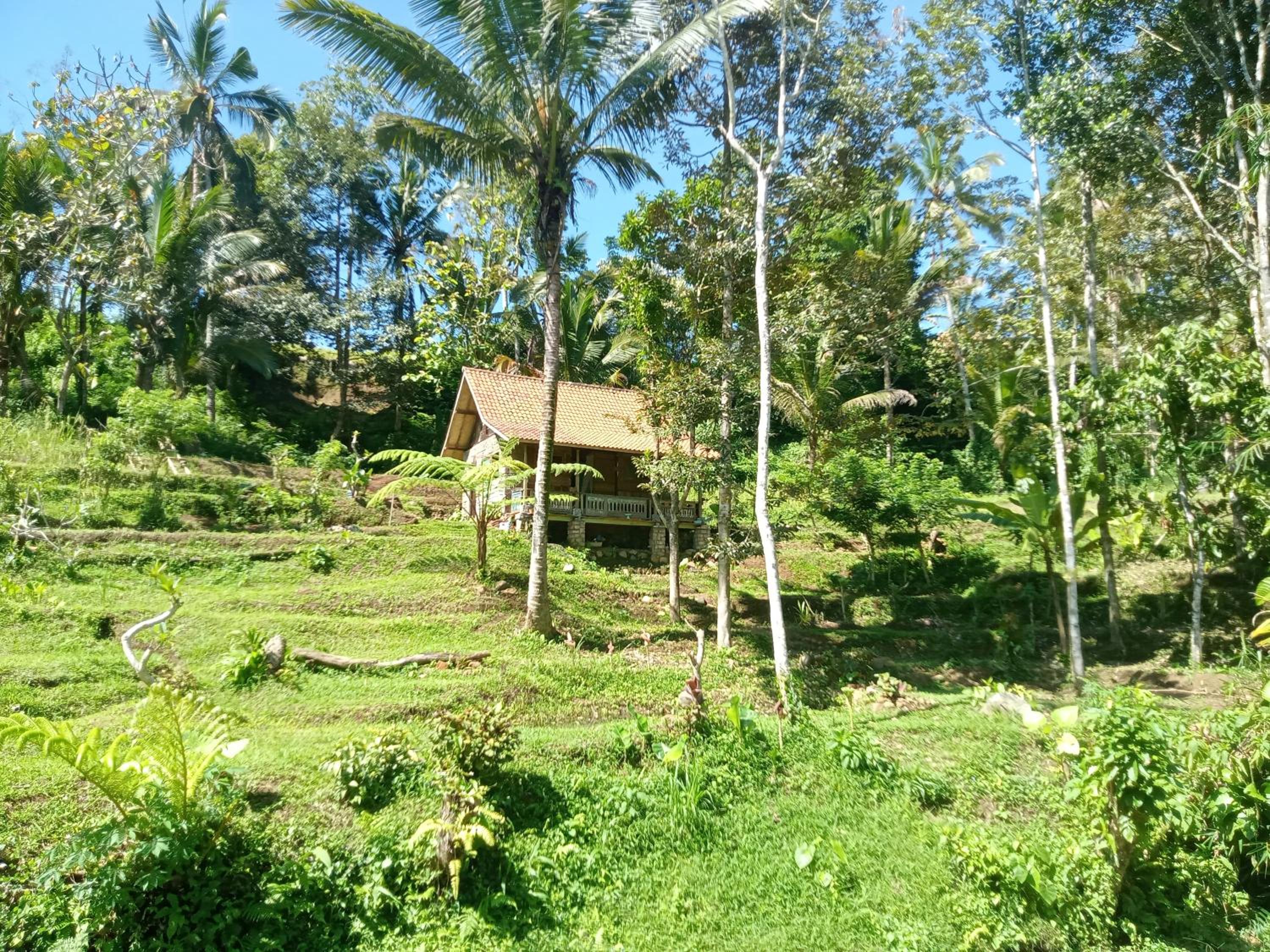 duegoal farmhouse