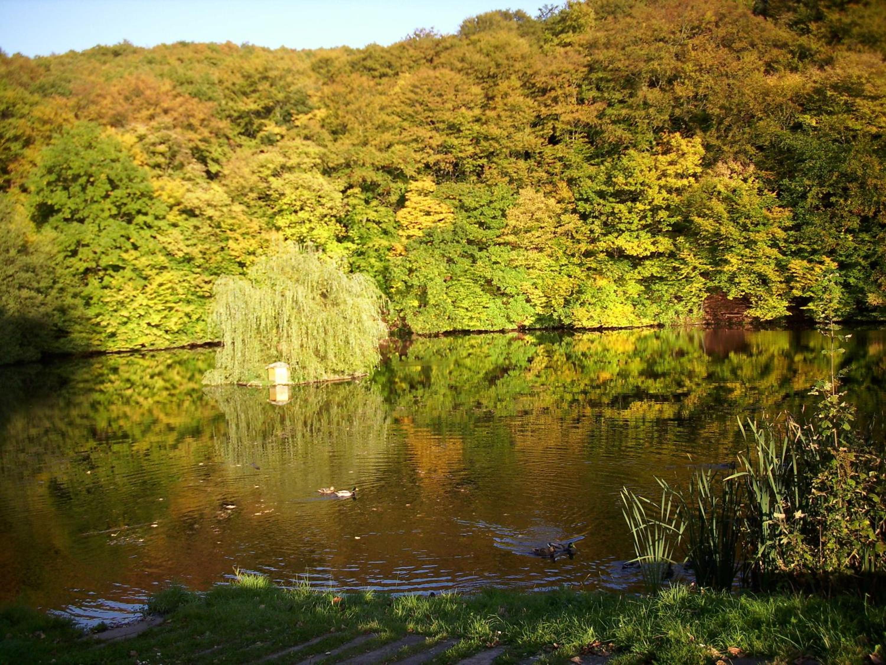 other
