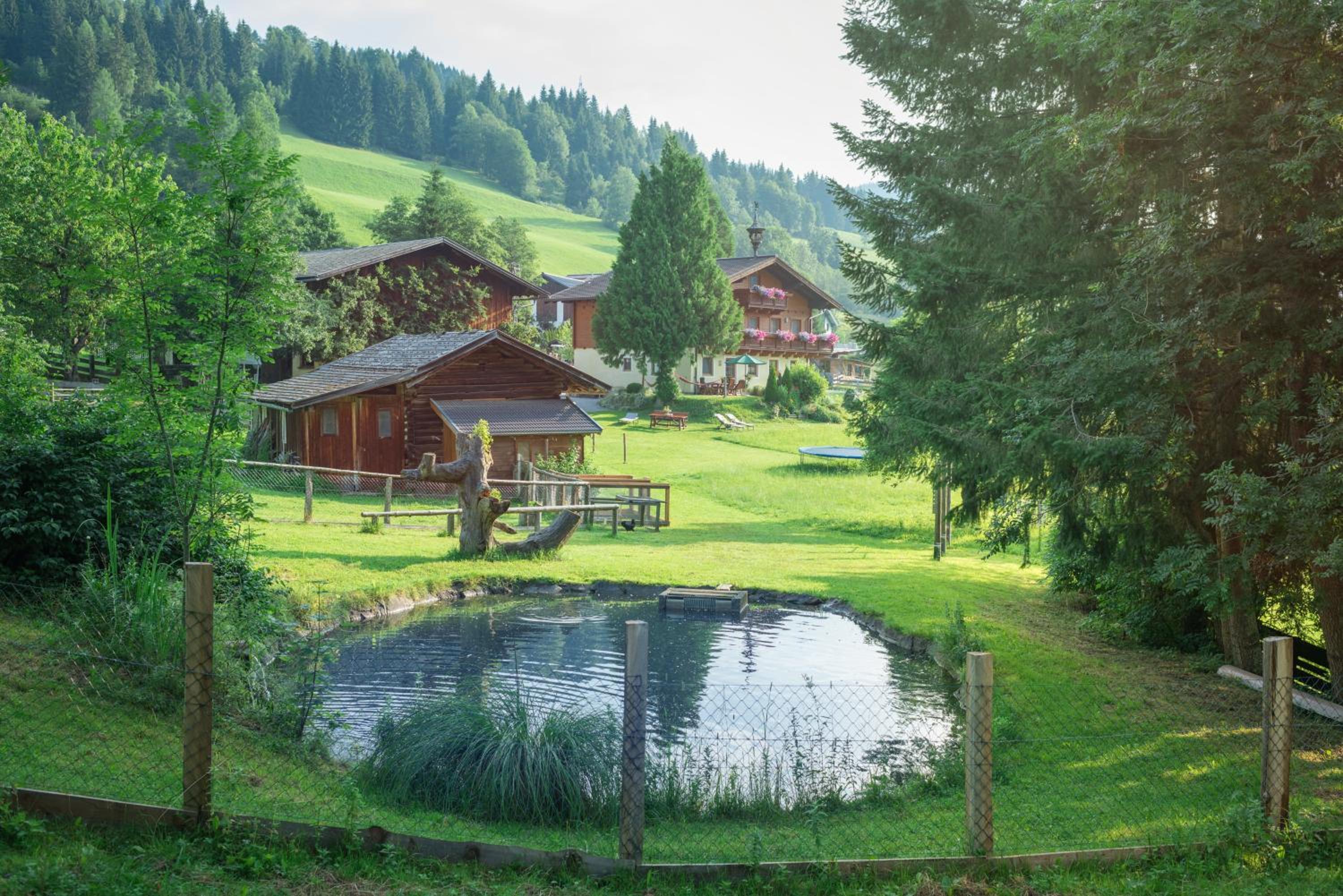 Bauernhof Auhof view 3