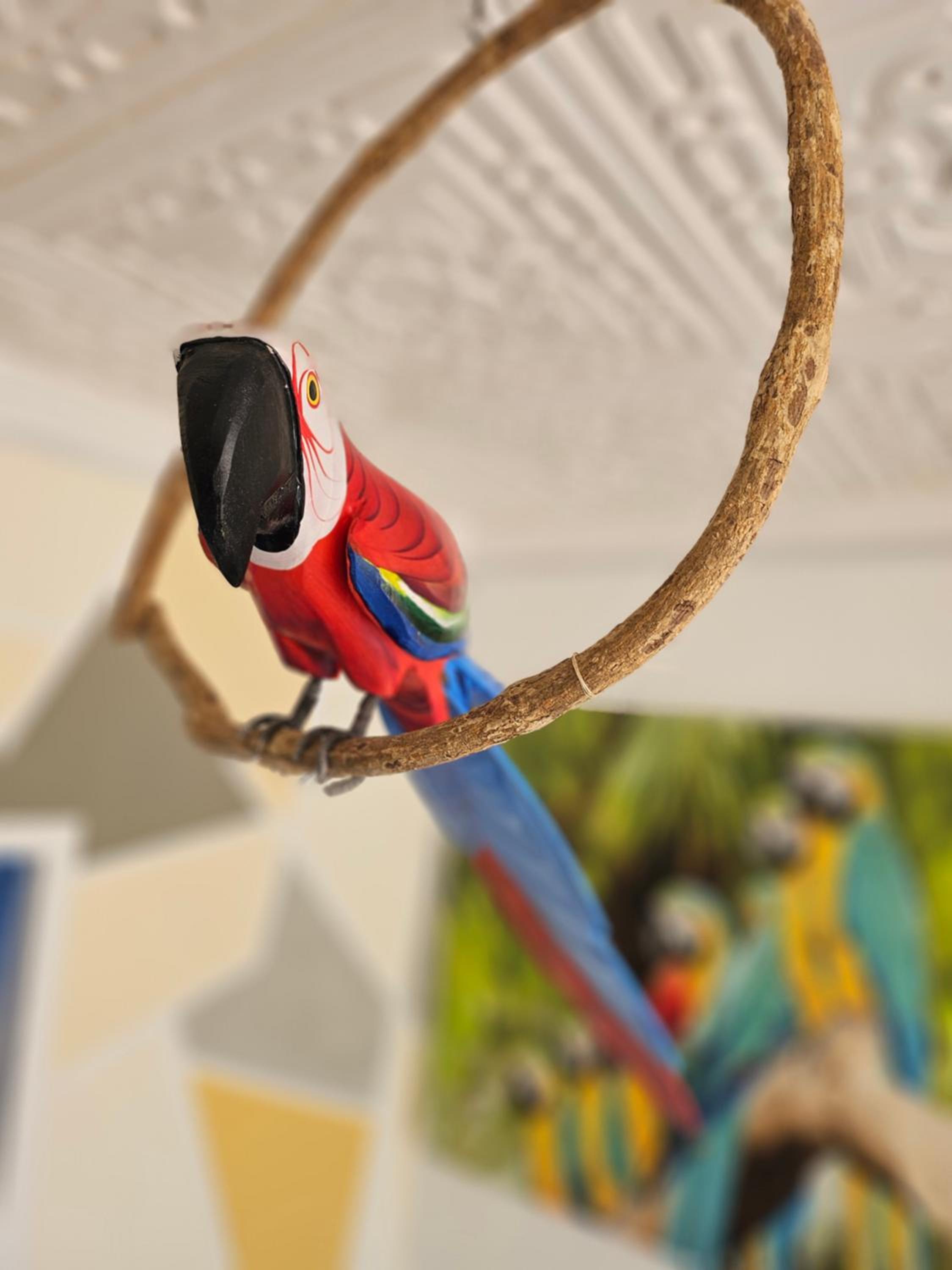 Casa da Mãe Barra Grande