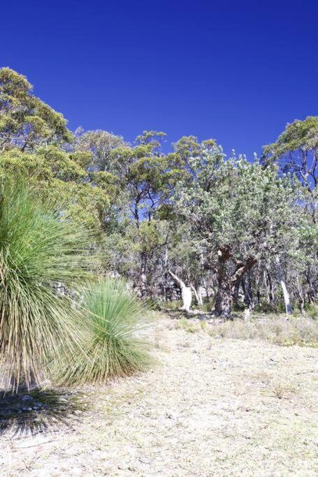 Newly Renovated Hyams Beach Cottage