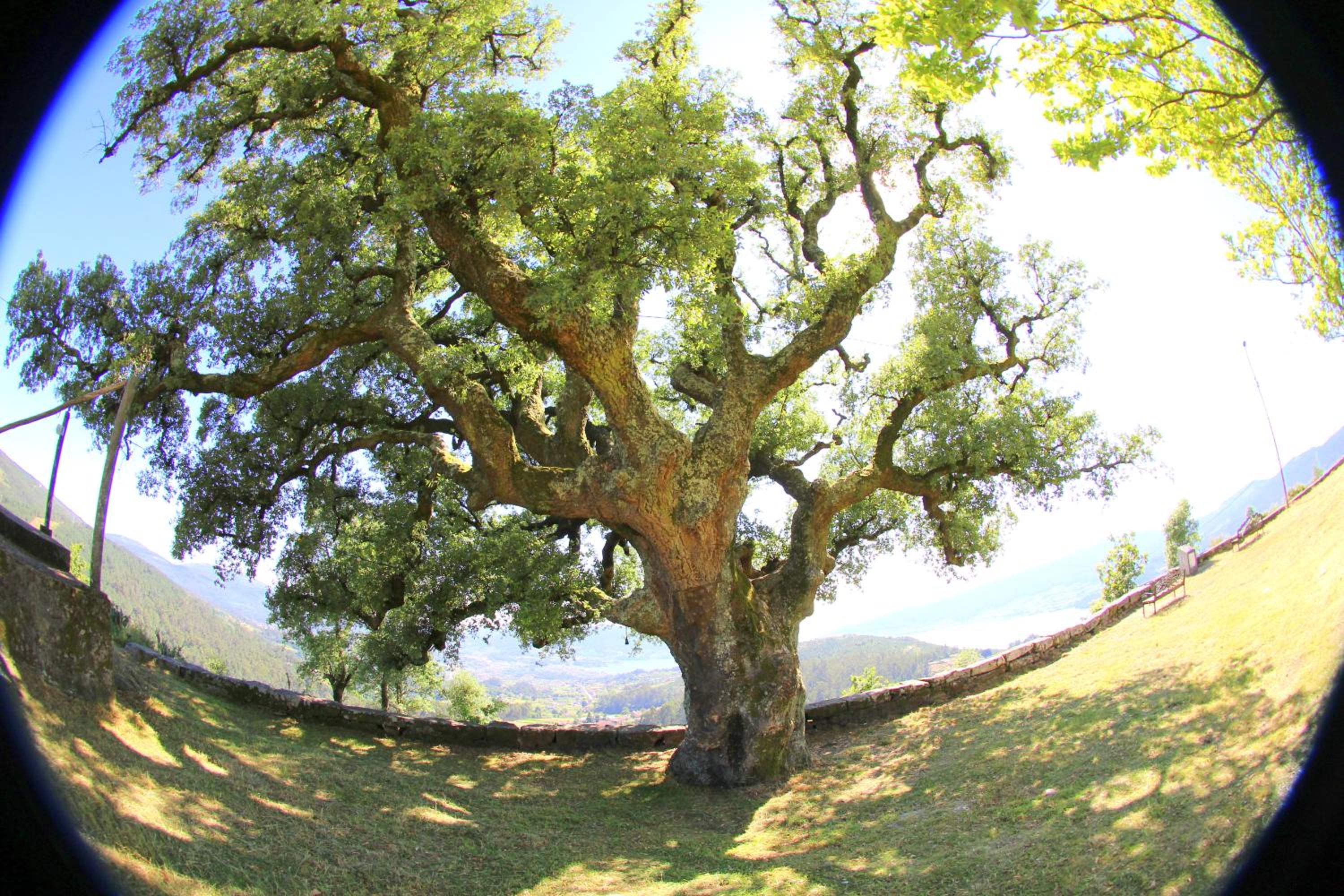 O Refuxio de la Jerezana
