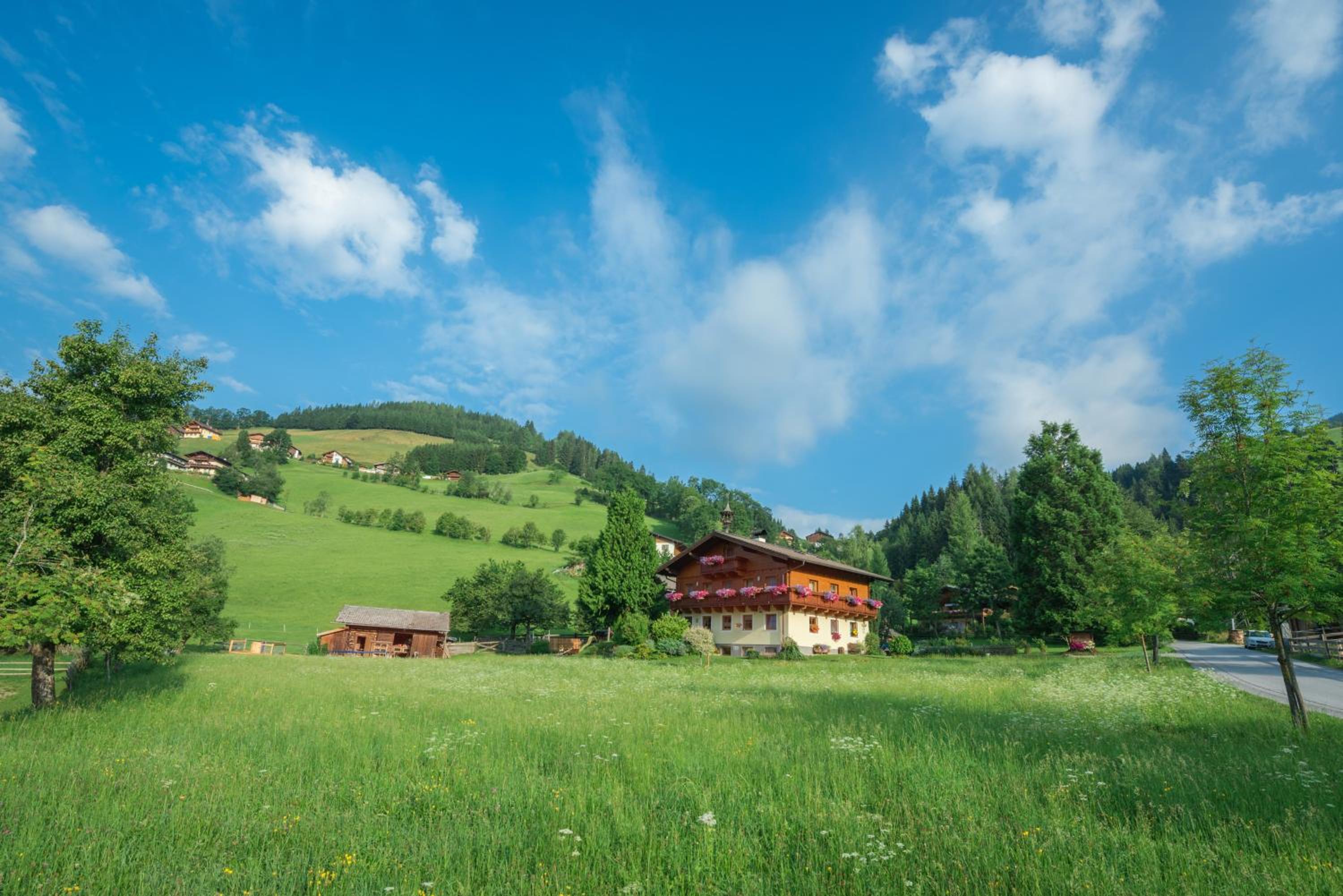 Bauernhof Auhof view 4