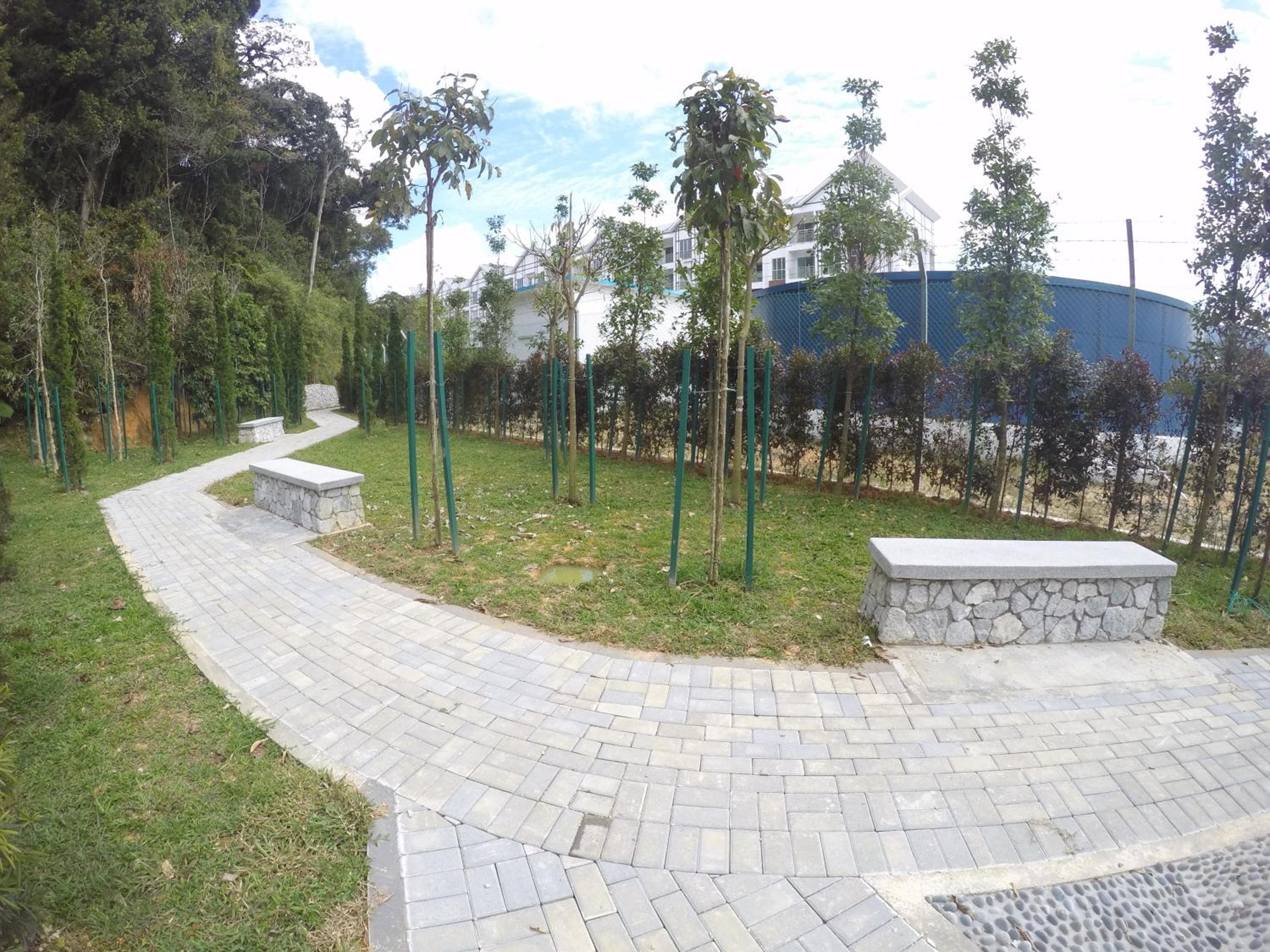 Photo 14