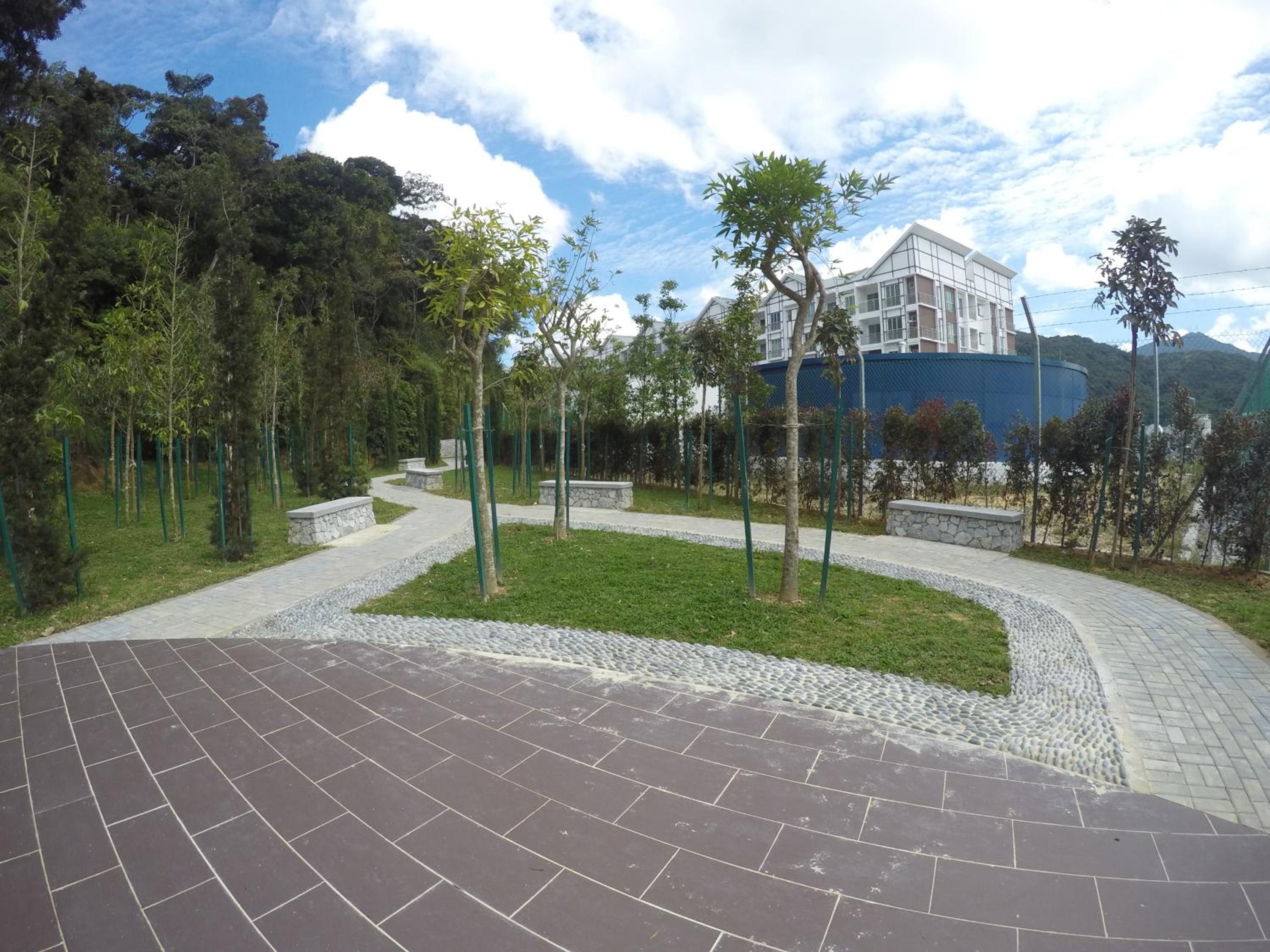 Photo 15