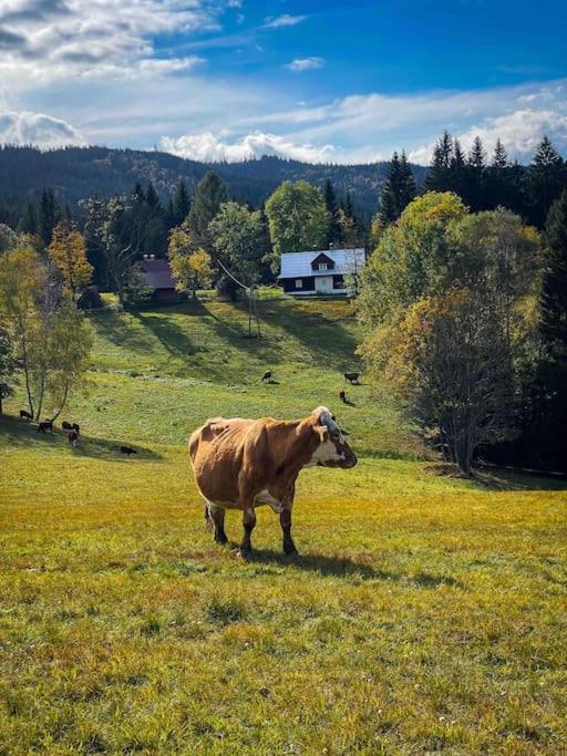StodolA MorávkA