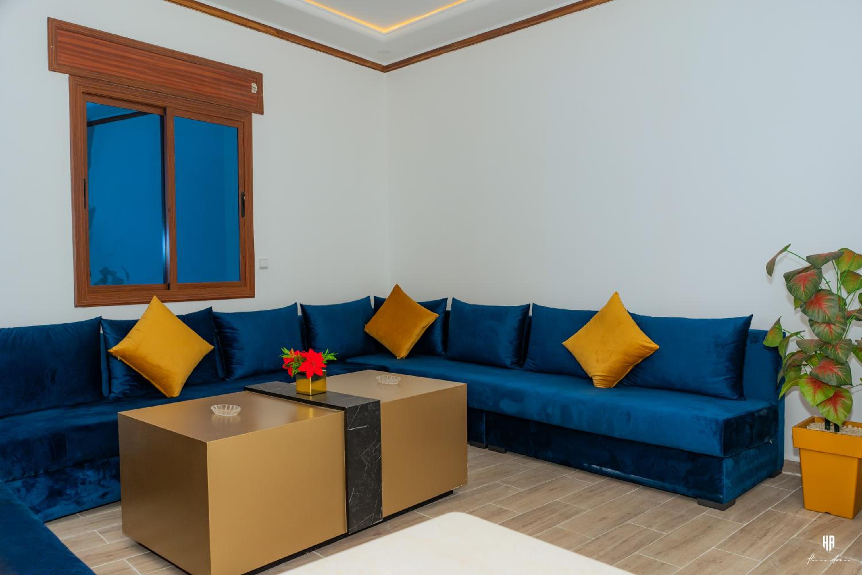 DAR BLANCA - Image 4