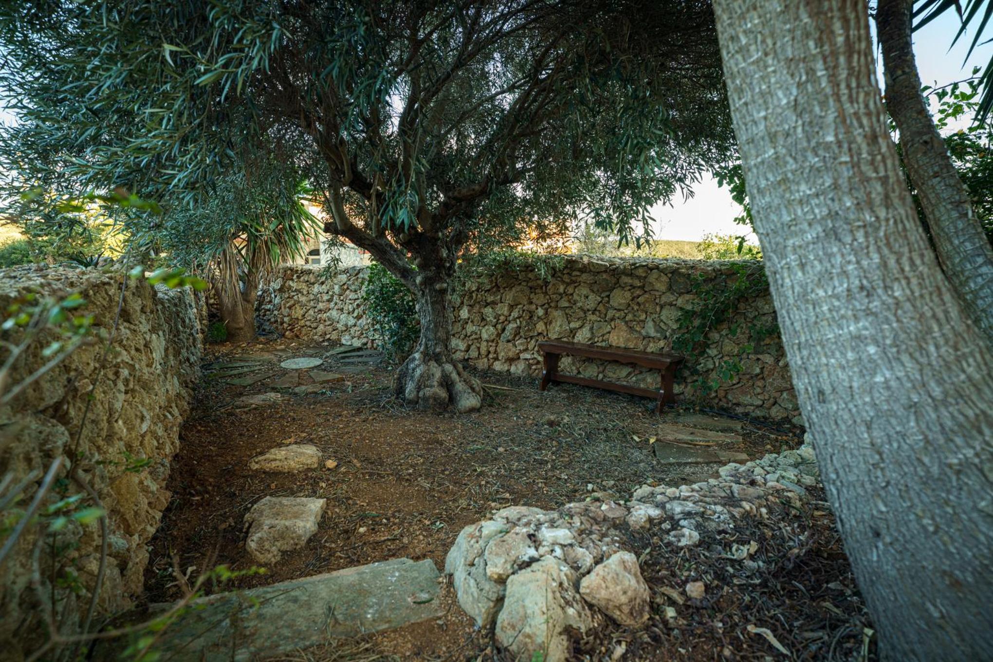 Amaryllis Holiday Home, photo 9