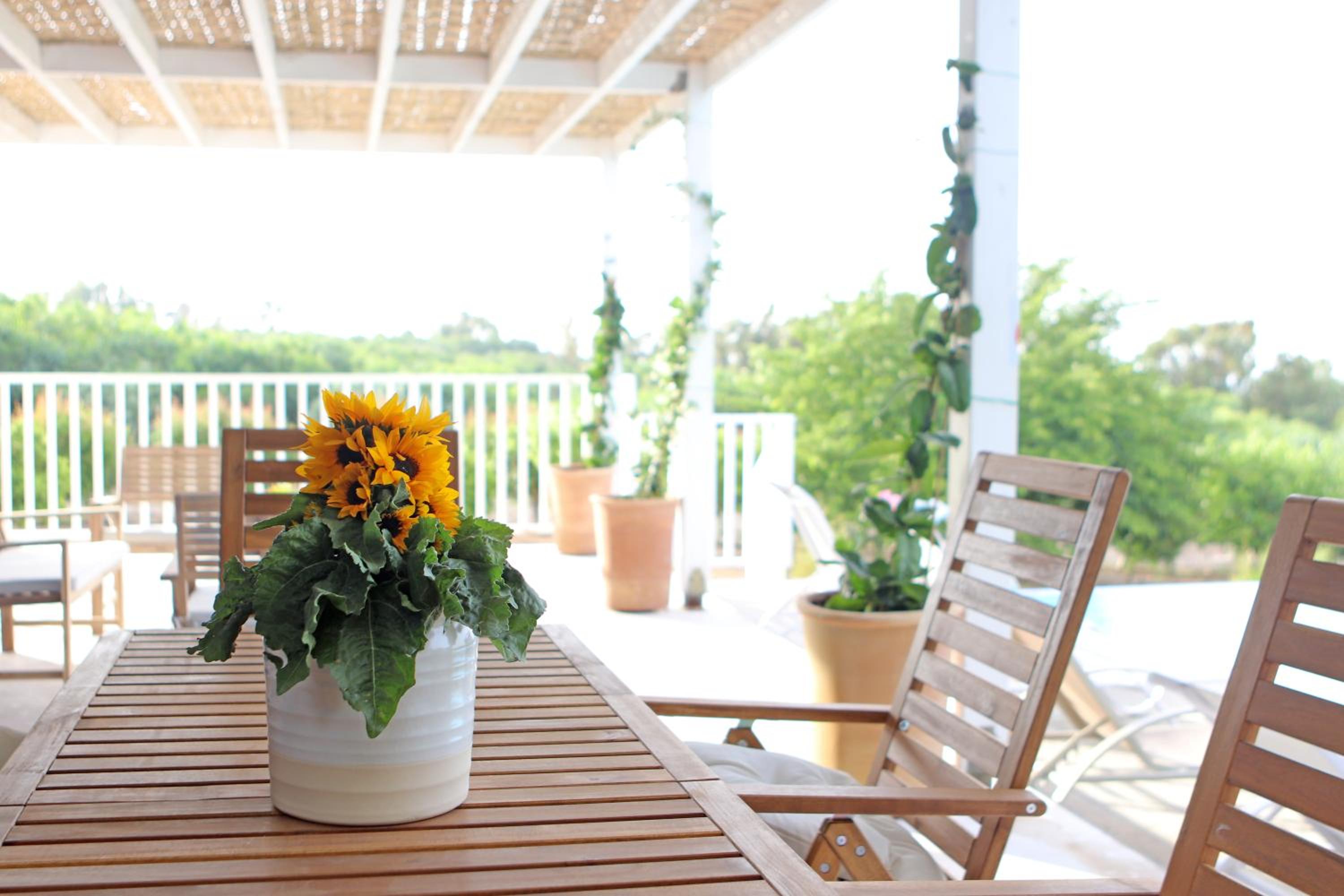 Villa Orchard by Tangerine