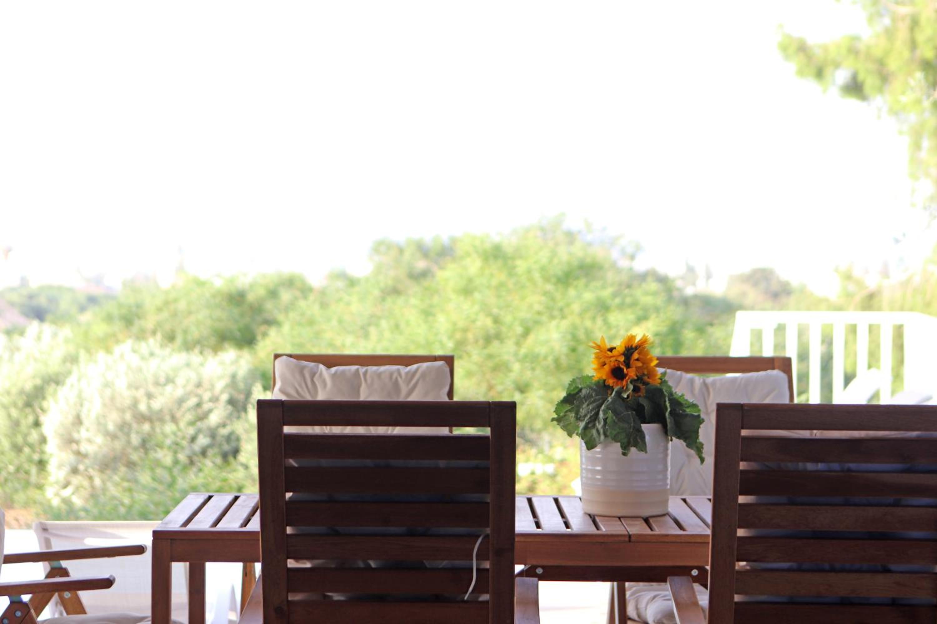Villa Orchard by Tangerine