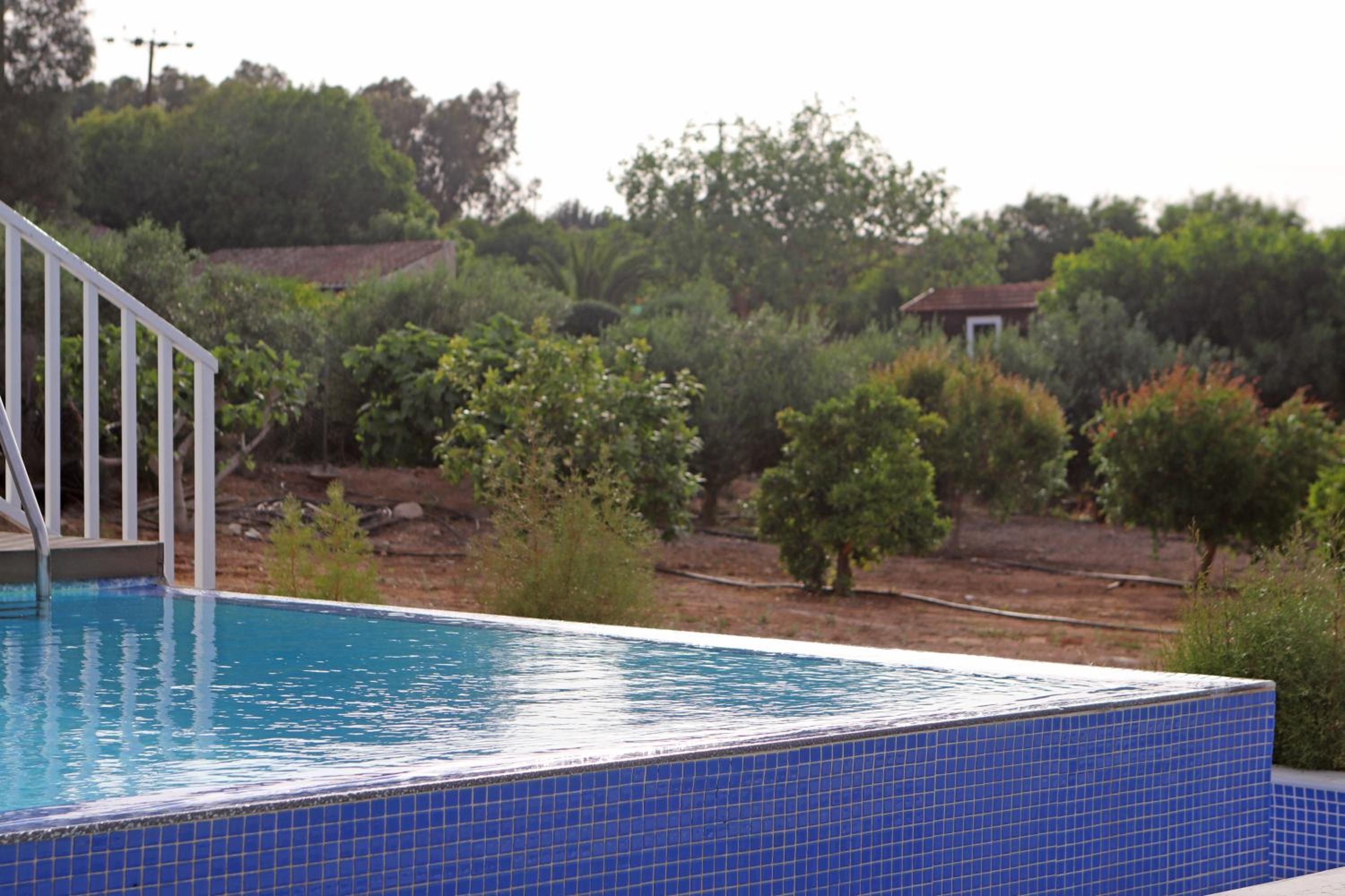 Villa Orchard by Tangerine