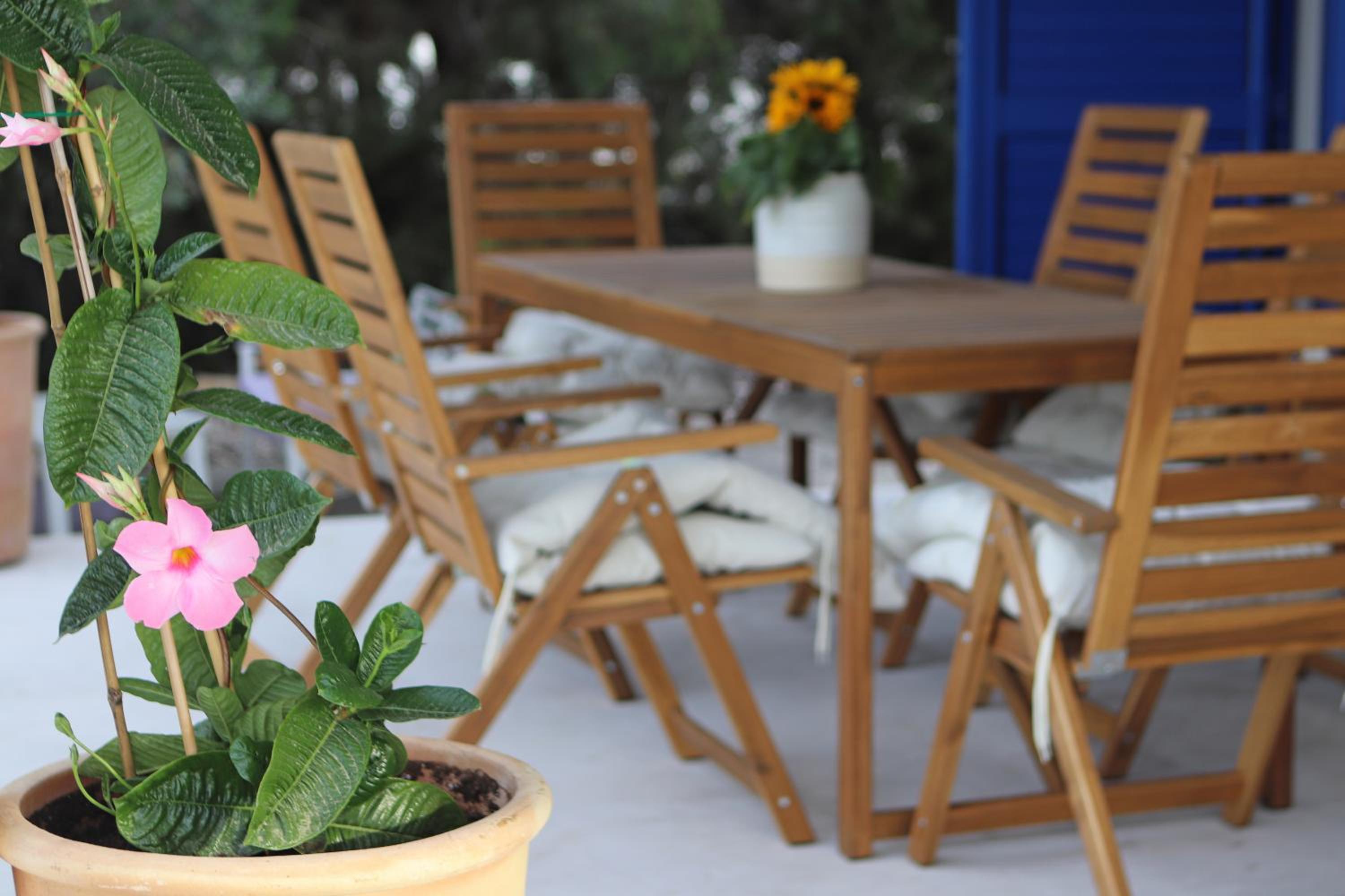 Villa Orchard by Tangerine