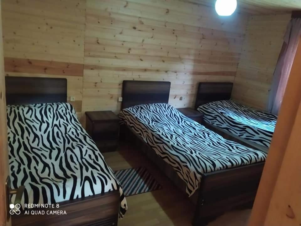 Guesthouse Luka