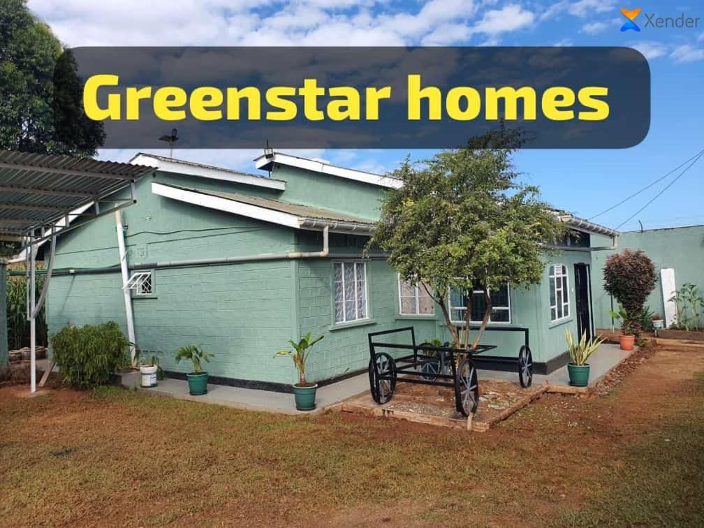 Green home luxurious