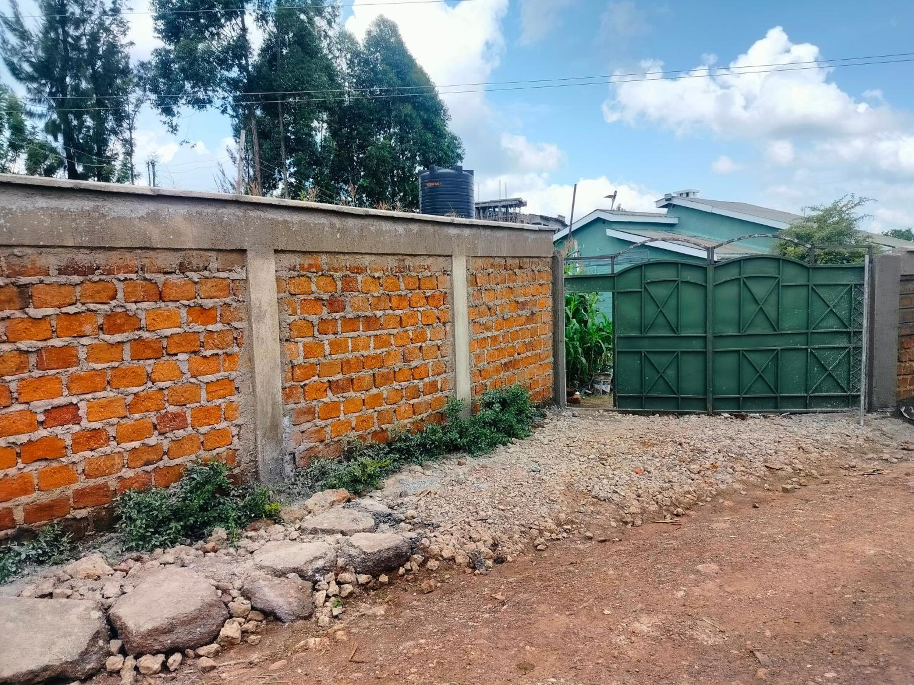 Green home luxurious