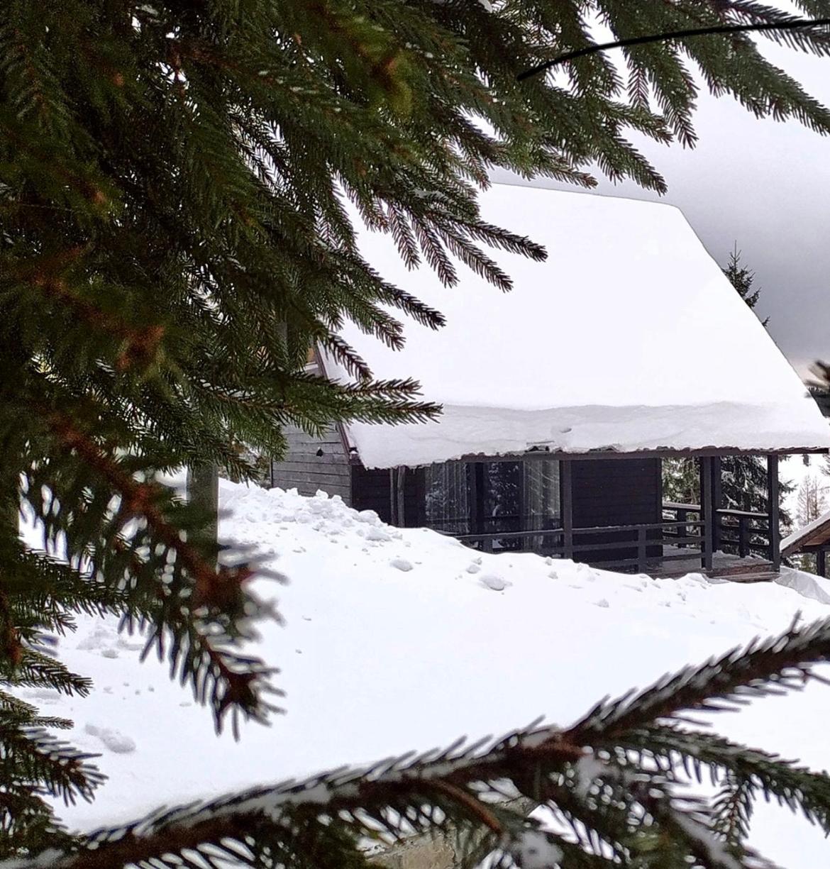 Cottages Shepit Lisu view 2