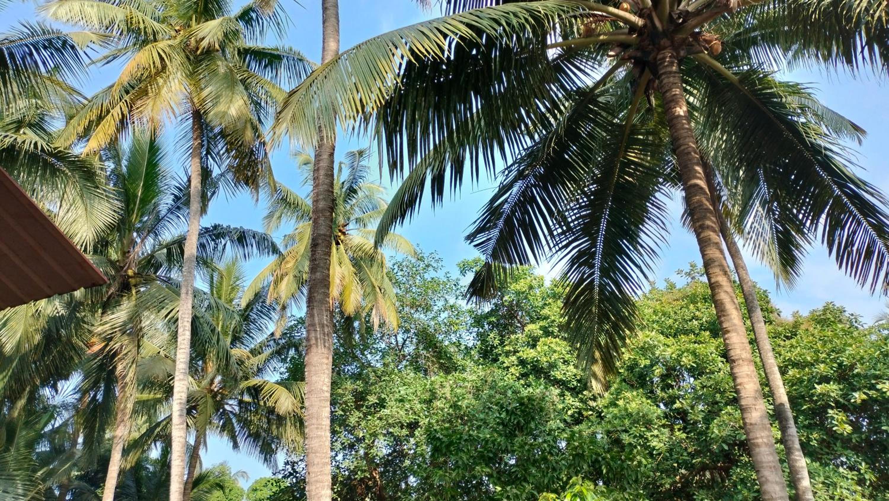 Dhruv guest house view 4