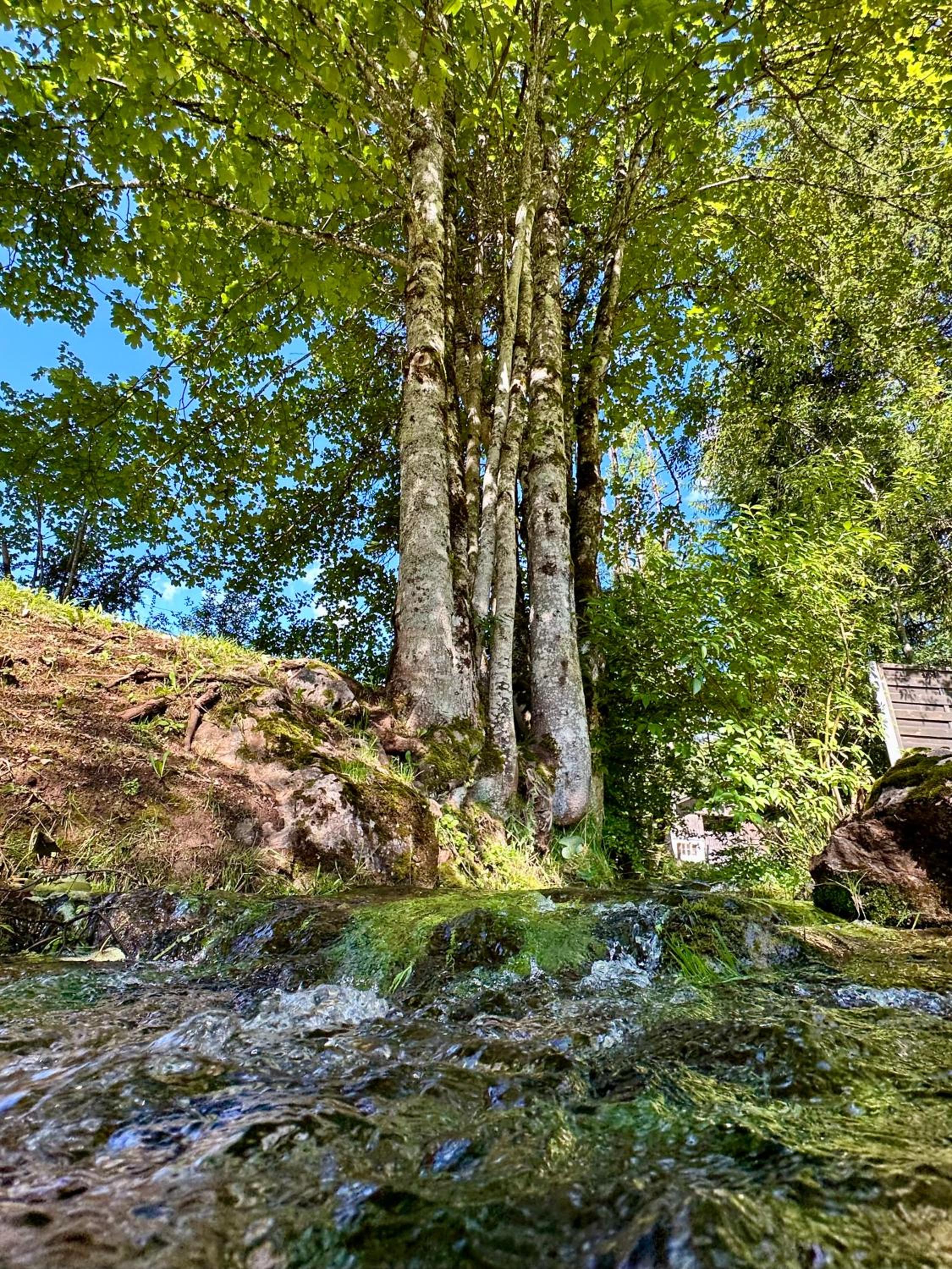 Haus Bergwelten Ramsau - Hintermühle
