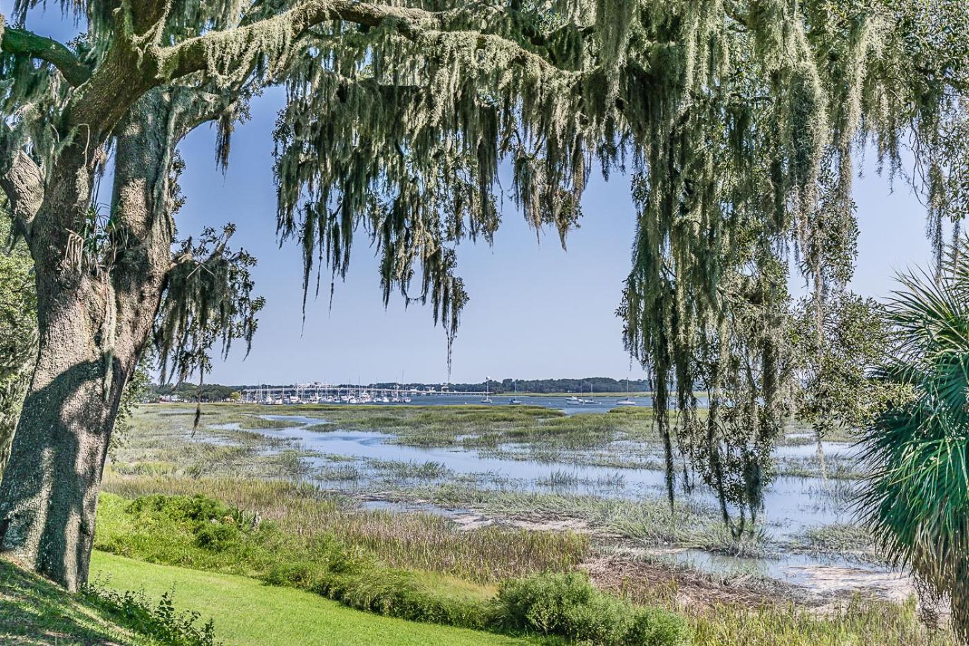 Historic Home Overlooking the Beaufort River Located on Bay St - Sleeps 10 view 5