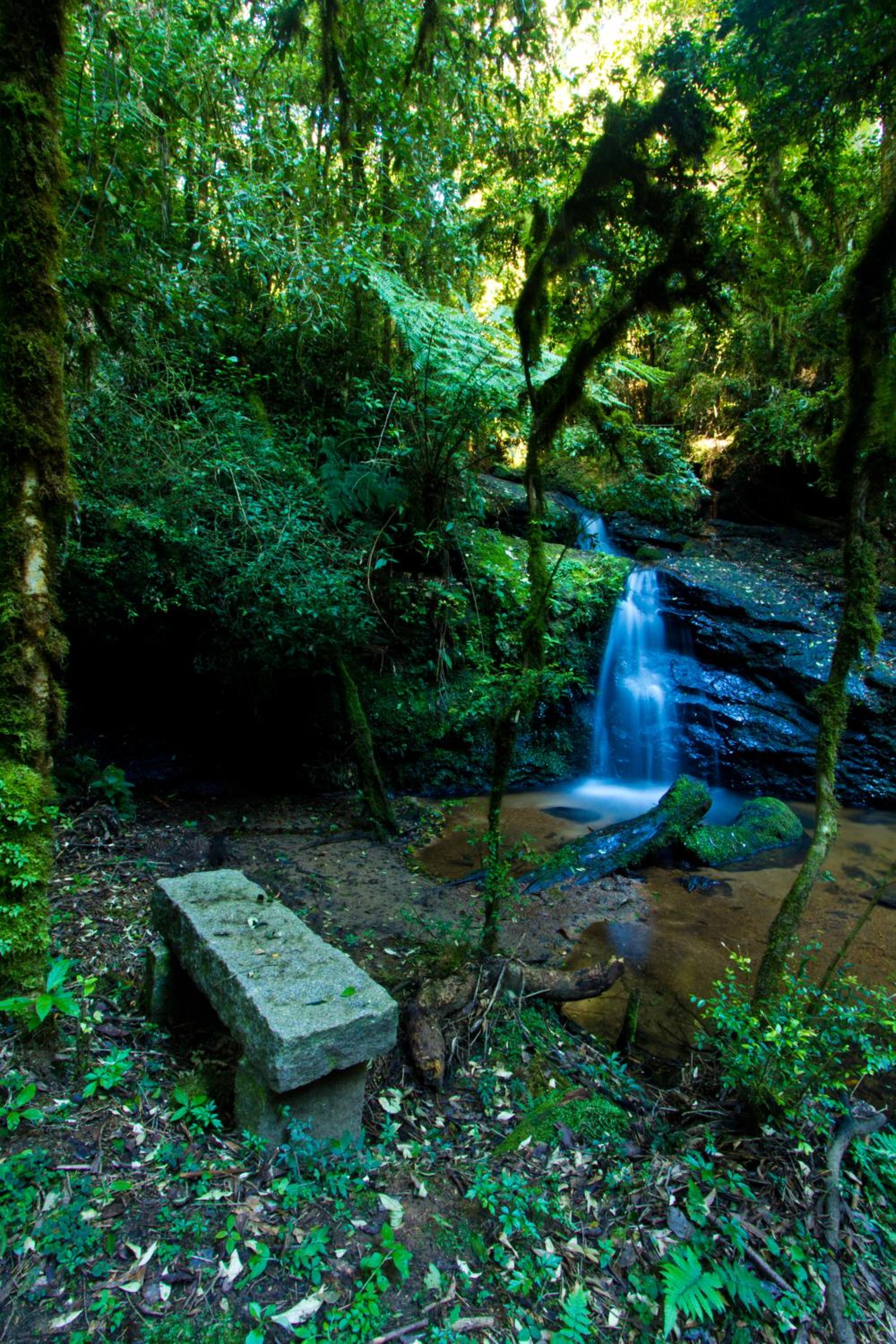 Fazenda com Piscina Termica