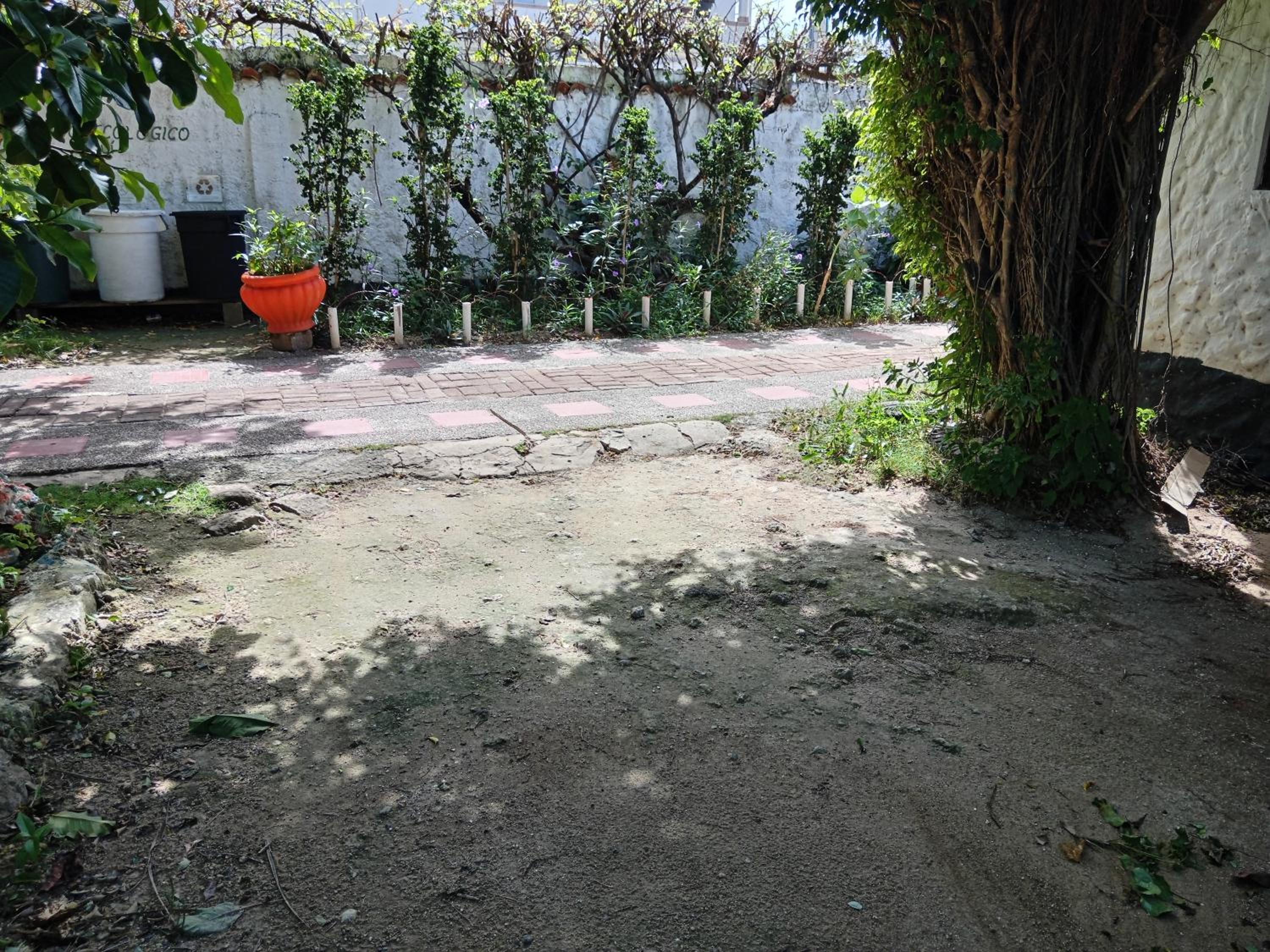 Photo 31