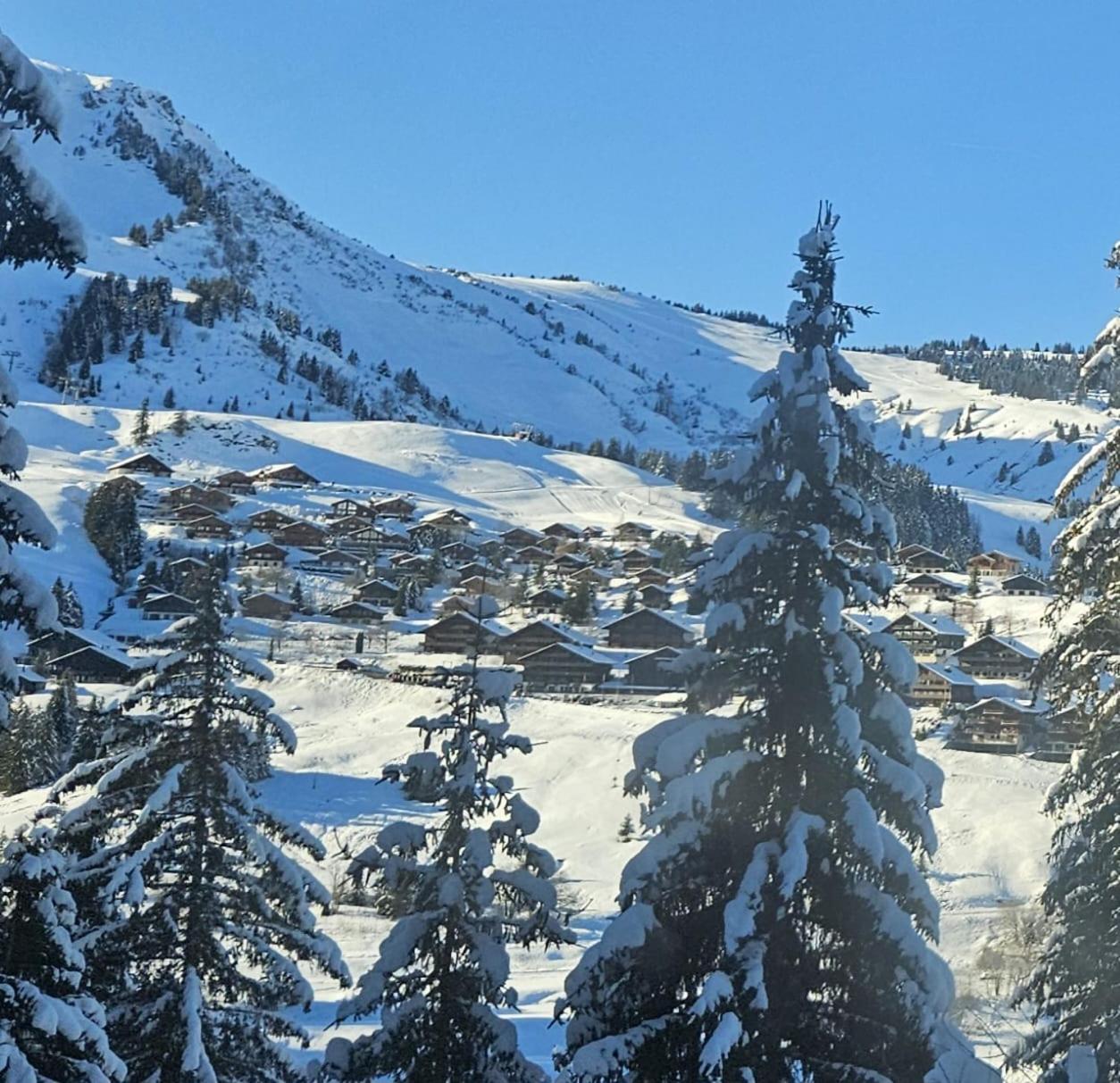 Alpage Immo Location Service