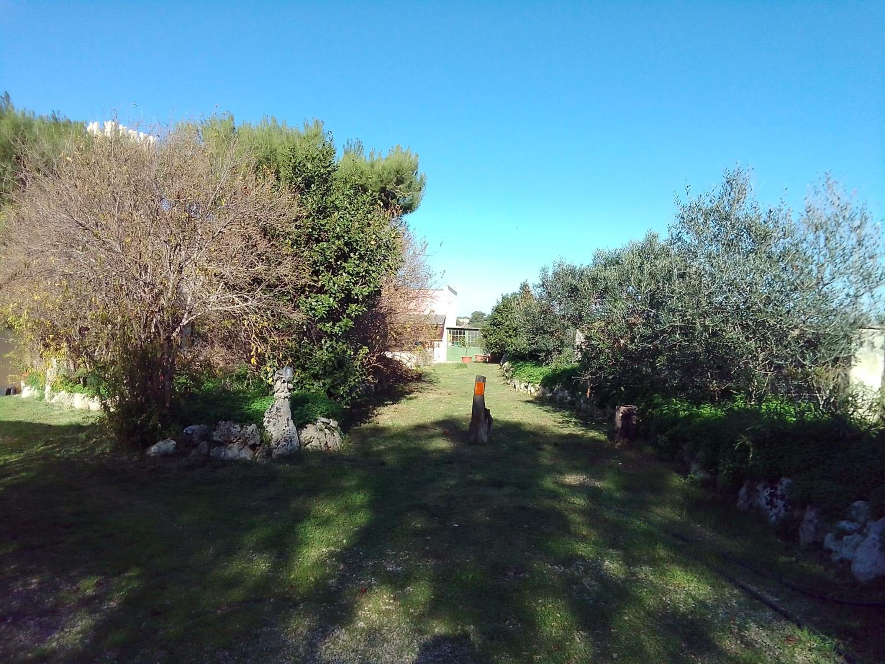 Photo 36