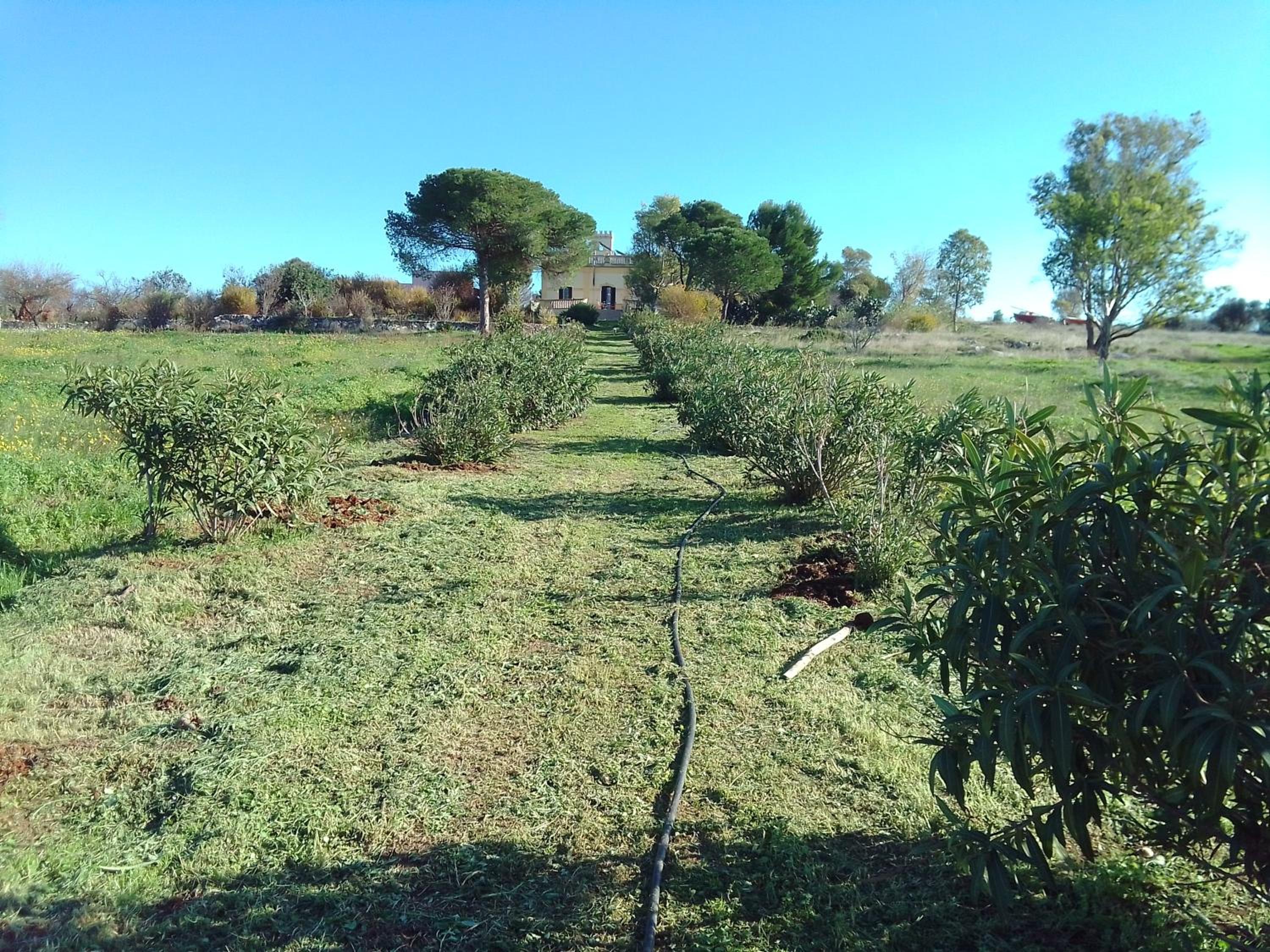 Photo 40