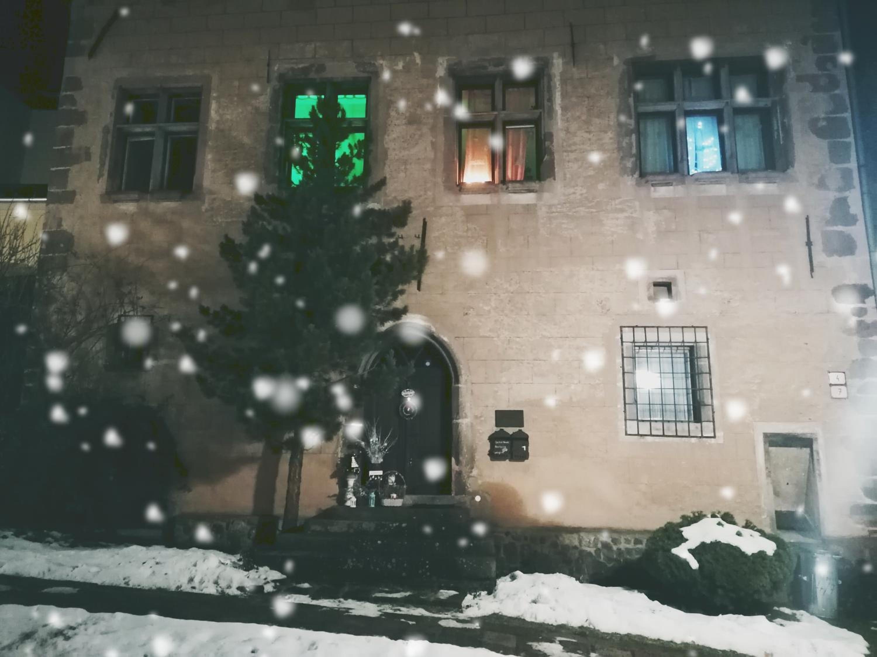 Photo 41