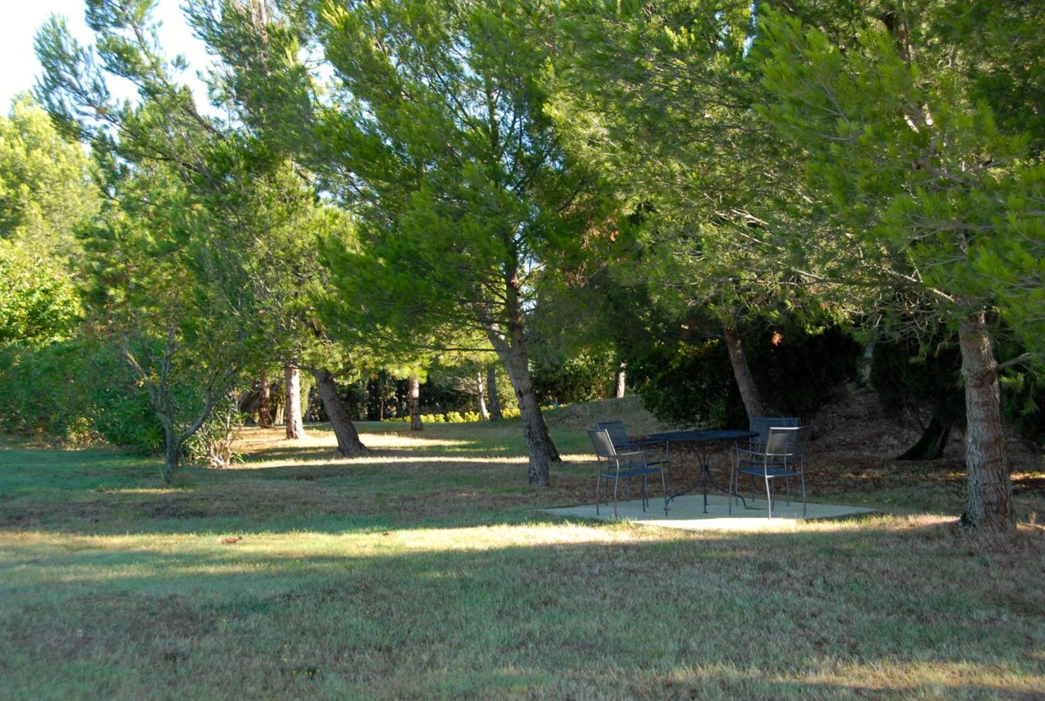 Photo 47