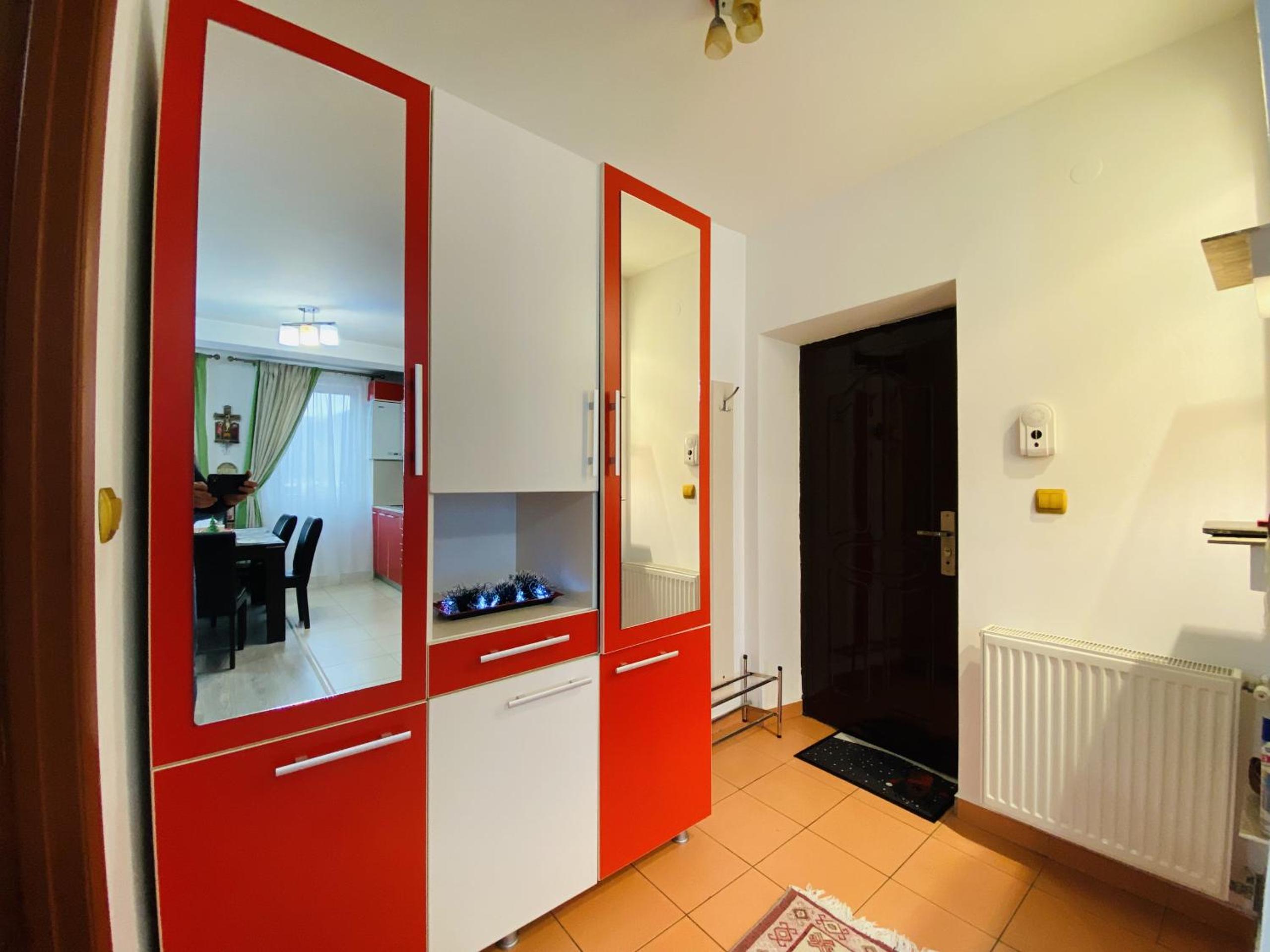 Charming Flat in Bistrita